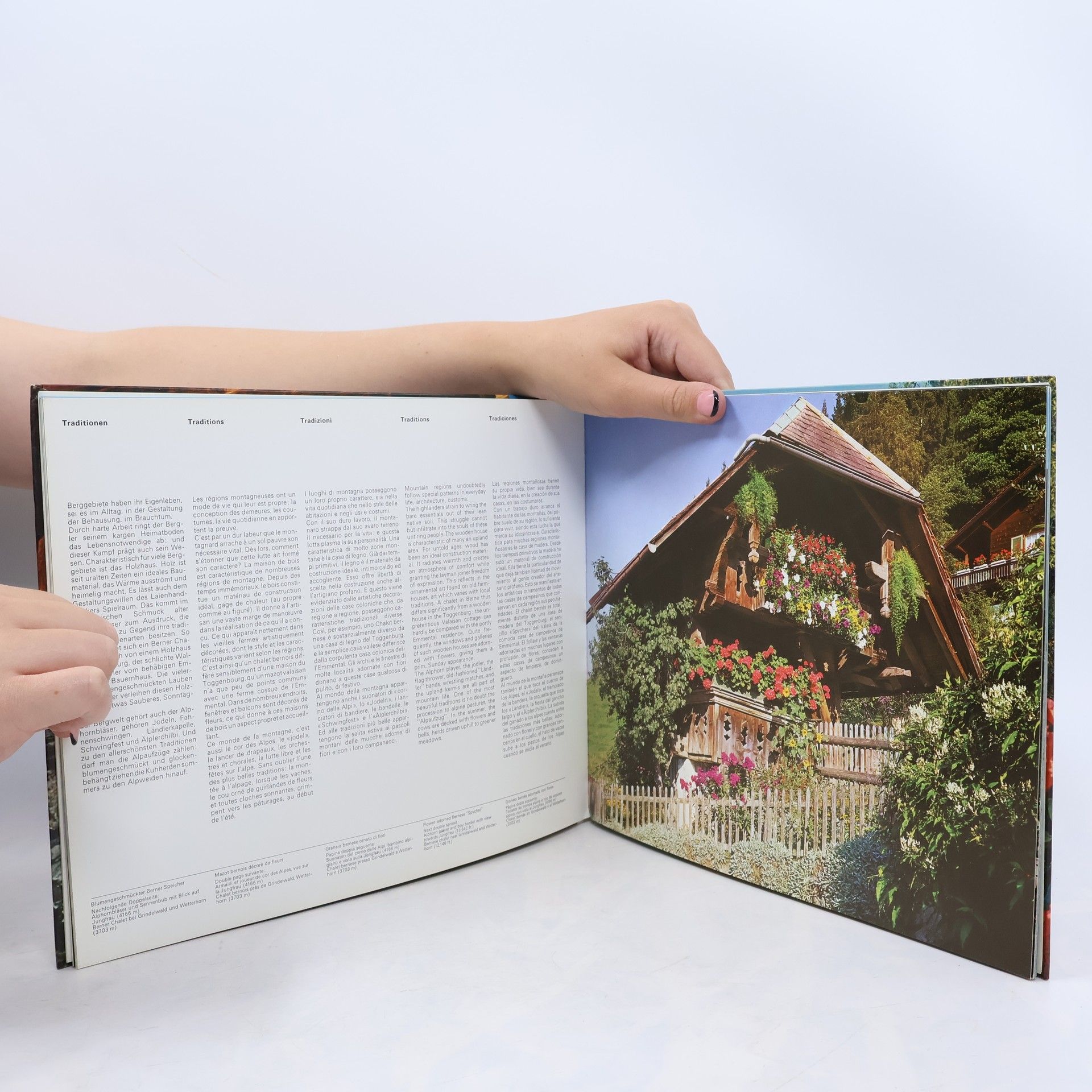 Autorenkollektiv Schweiz. Suisse. Svizzera. Switzerland. Suiza