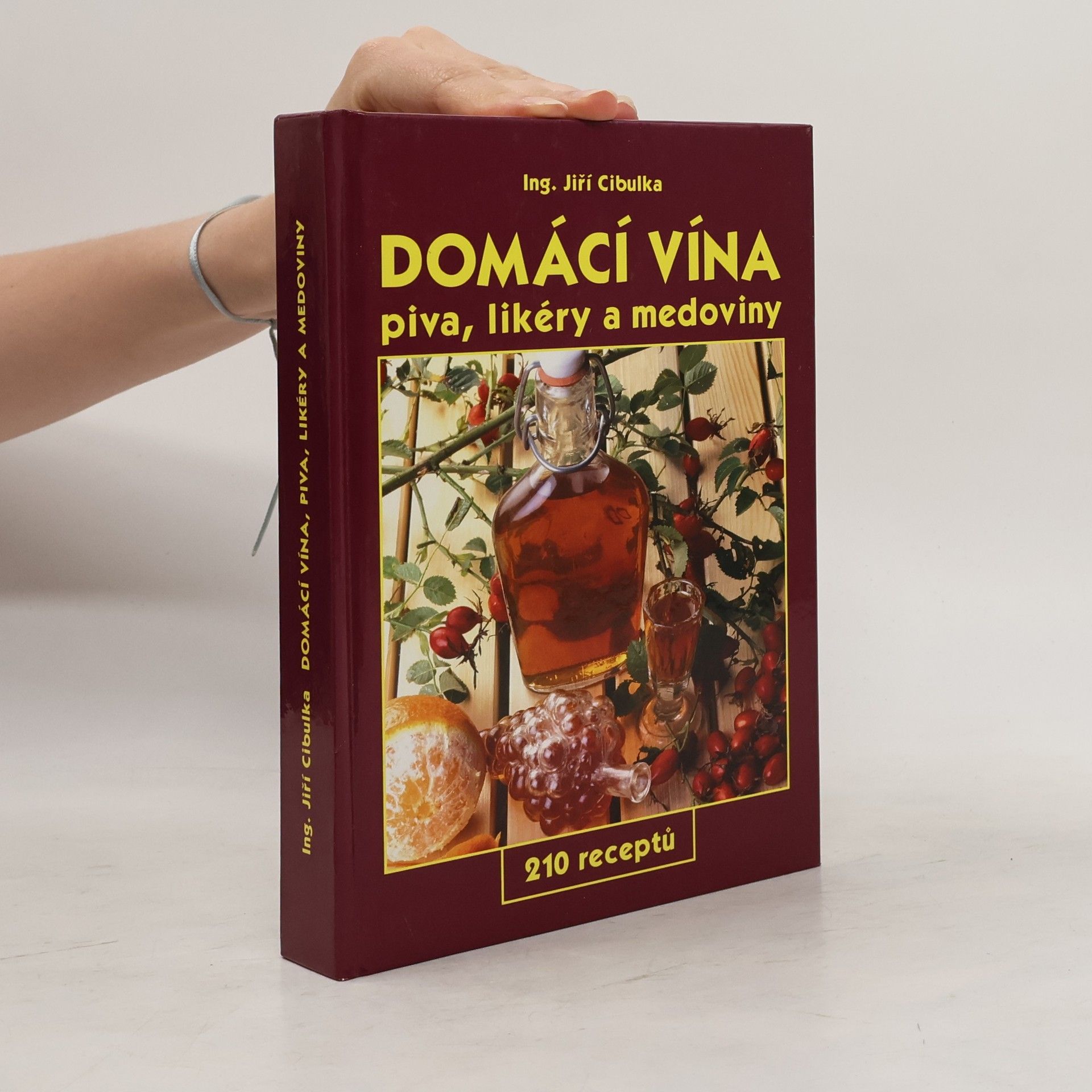 Jiří Cibulka Domácí vína: Piva, likéry a medoviny