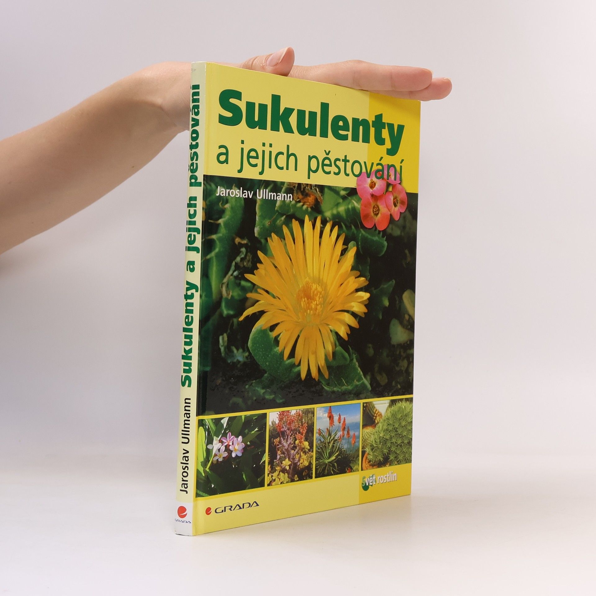Sukulenty a jejich pěstování