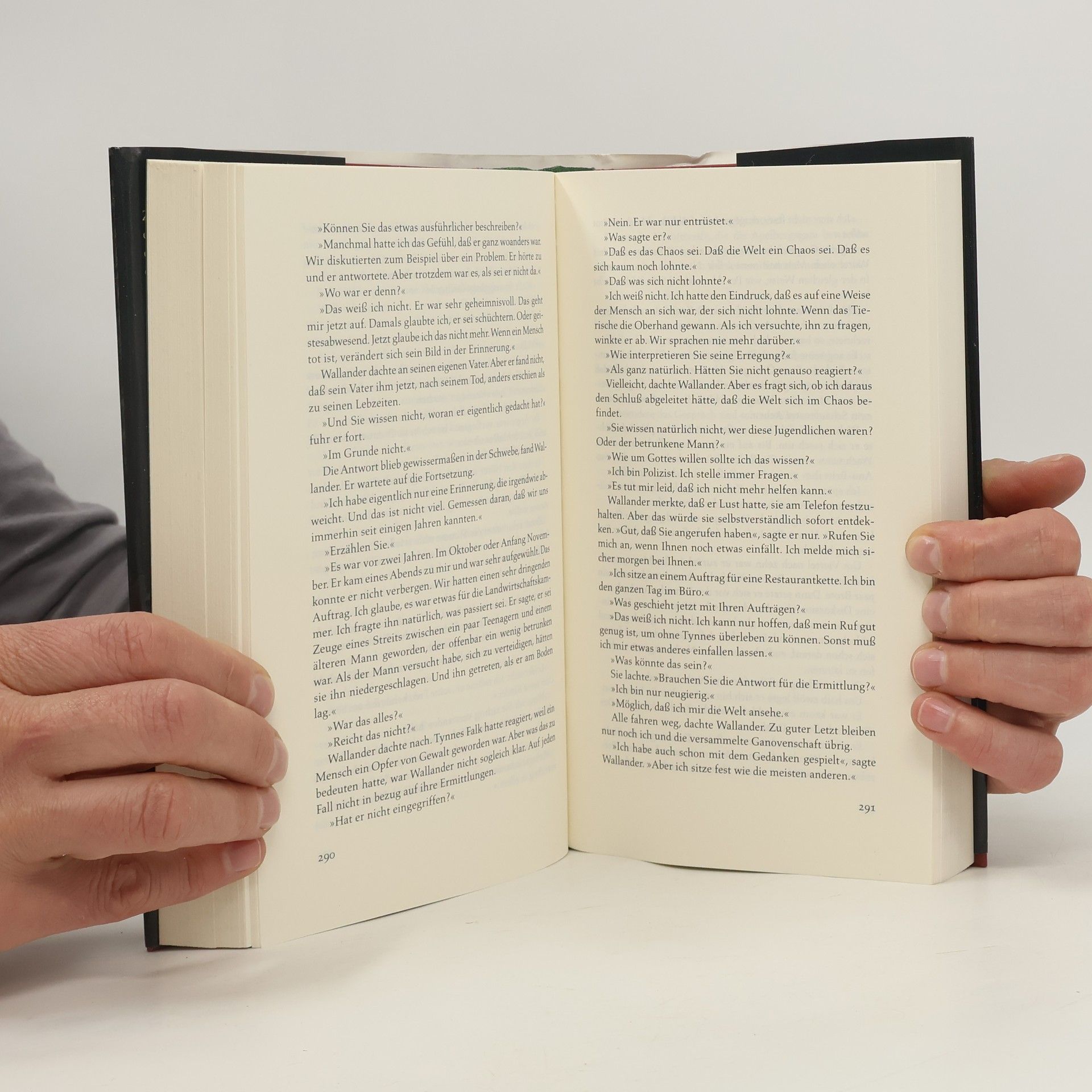 Henning Mankell Die Brandmauer