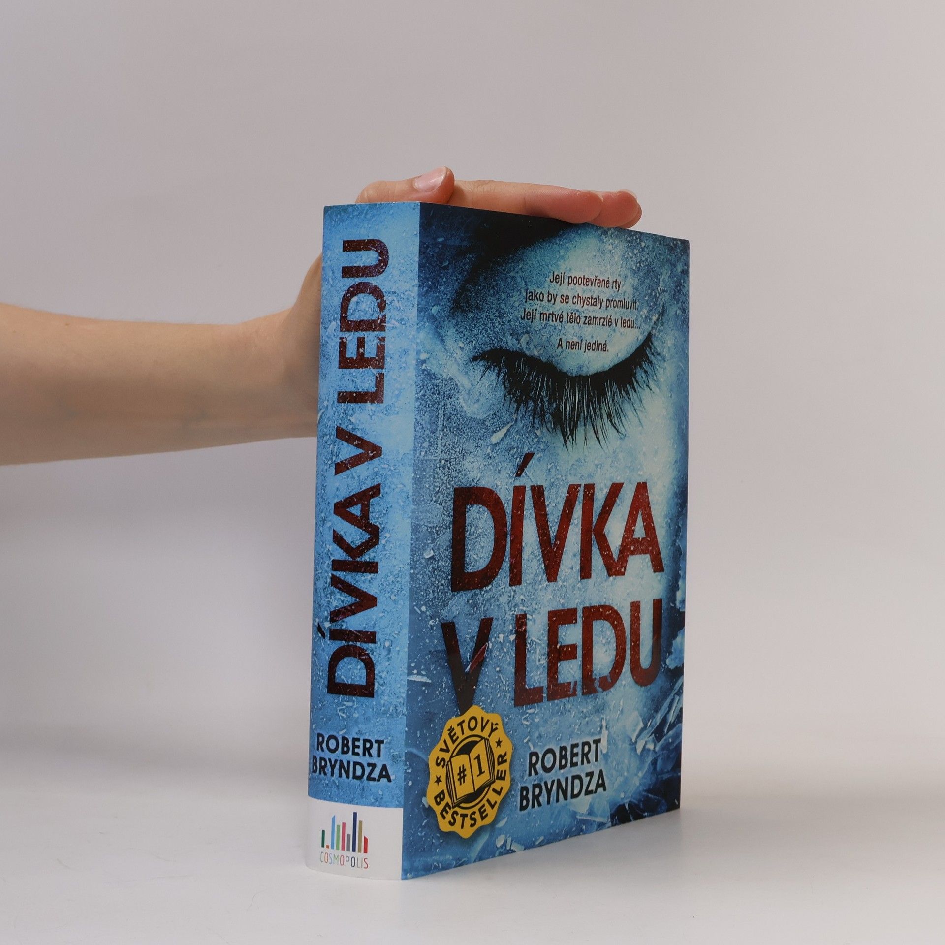 Robert Bryndza Dívka v ledu