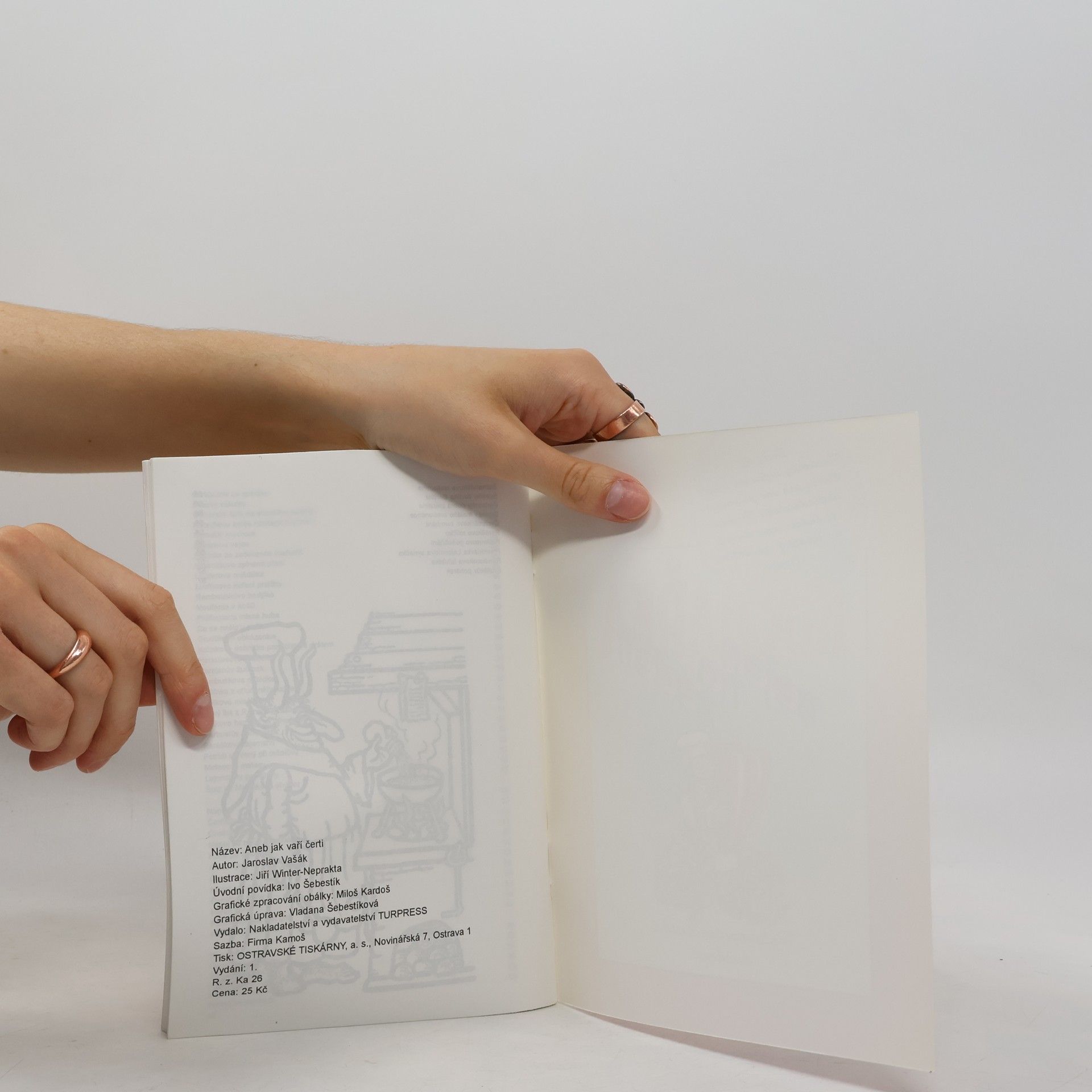 Collectif d'auteurs Kuchařka nejen na neděli
