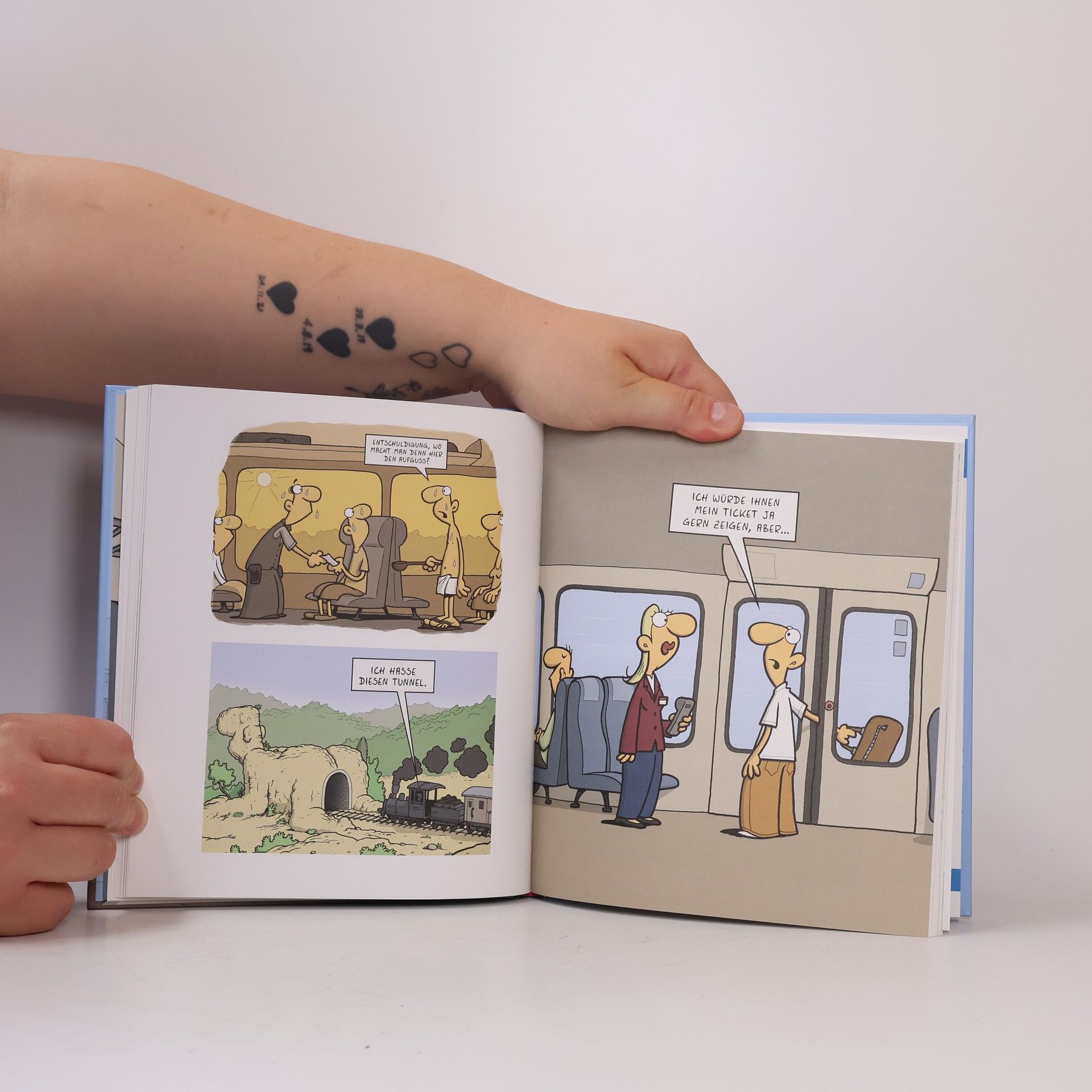 Miguel Fernandez Der absolute Bahnsinn. Neu - mit Cartoons zum Deutschlandticket!
