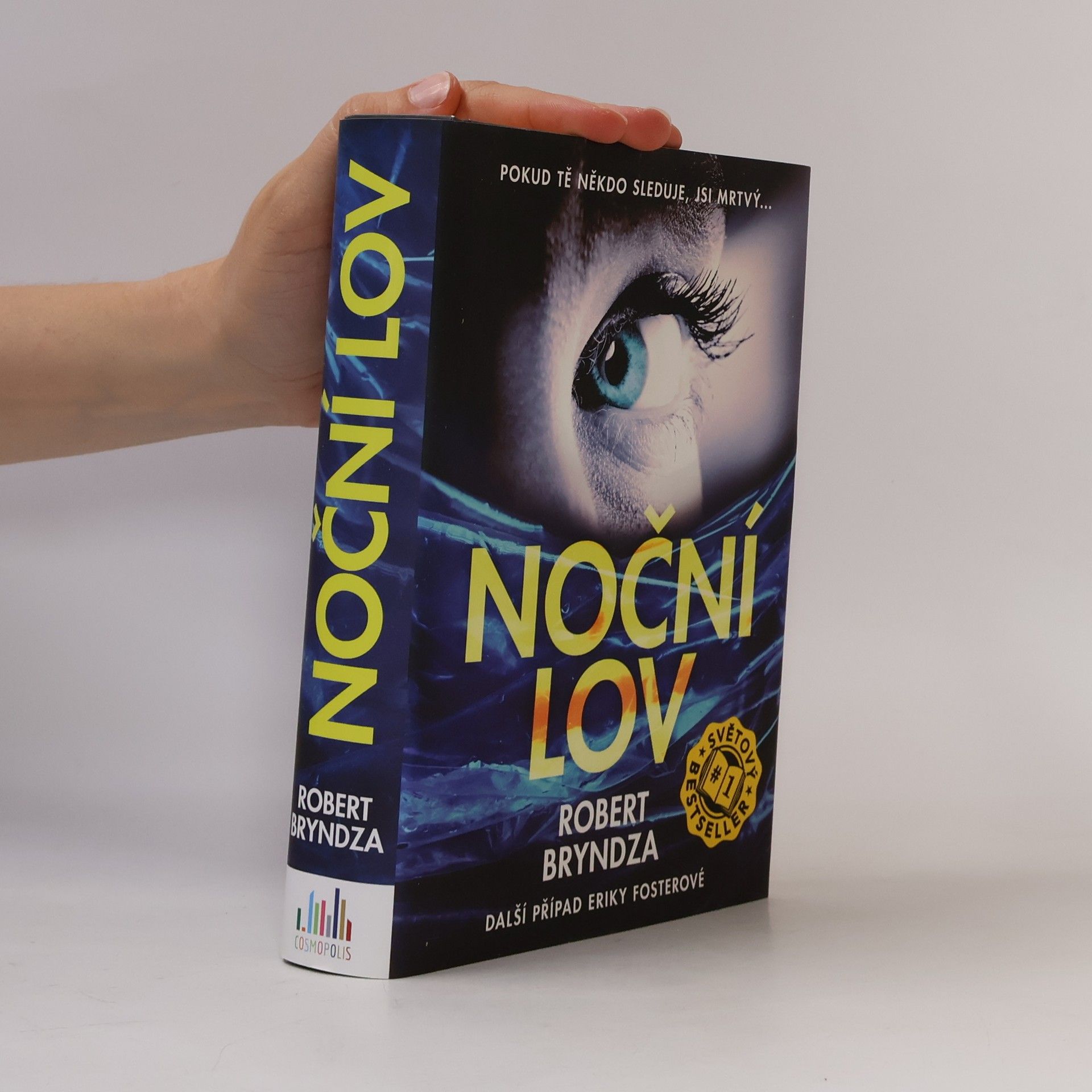 Robert Bryndza Noční lov