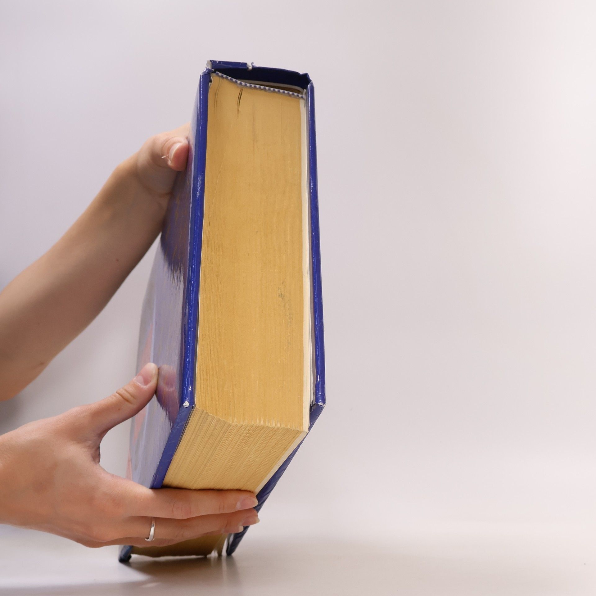 Noah Webster Webster's Universal Dictionary and Thesaurus