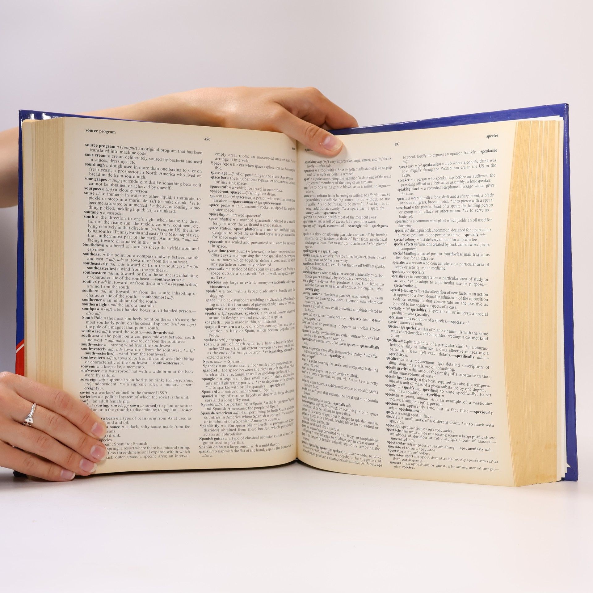 Noah Webster Webster's Universal Dictionary and Thesaurus