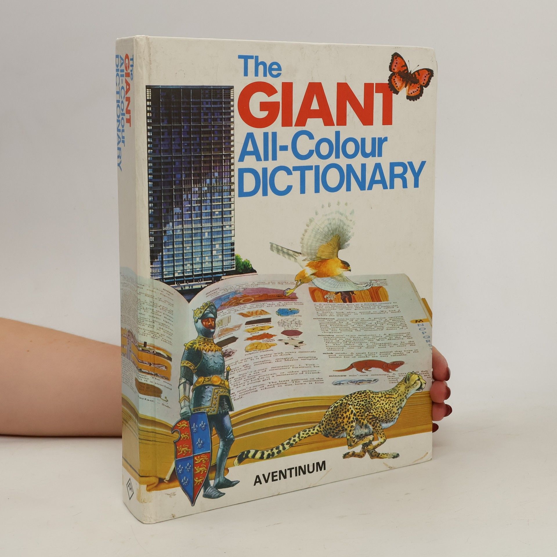 Stuart A. Courtis The Giant All-Colour Dictionary