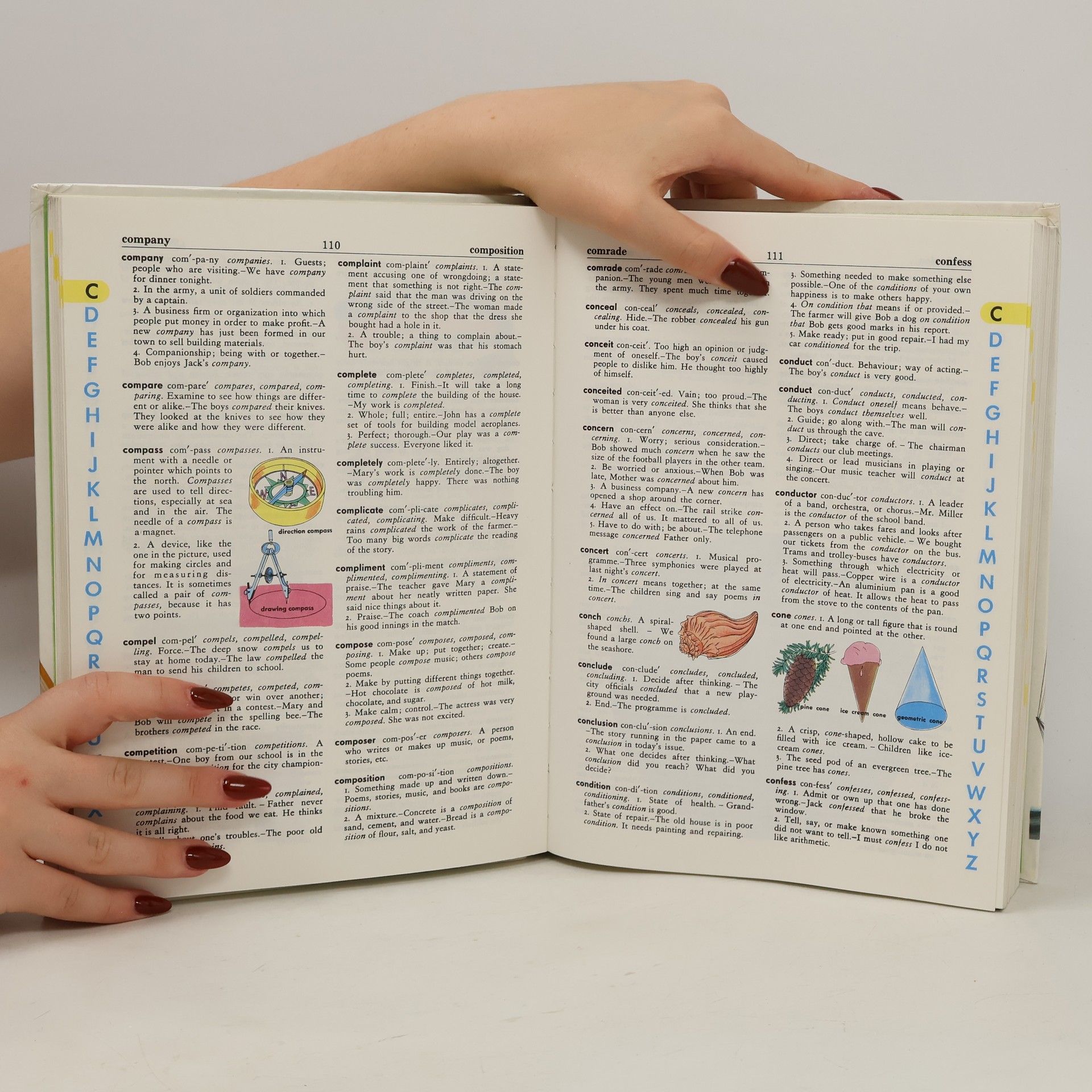 Stuart A. Courtis The Giant All-Colour Dictionary