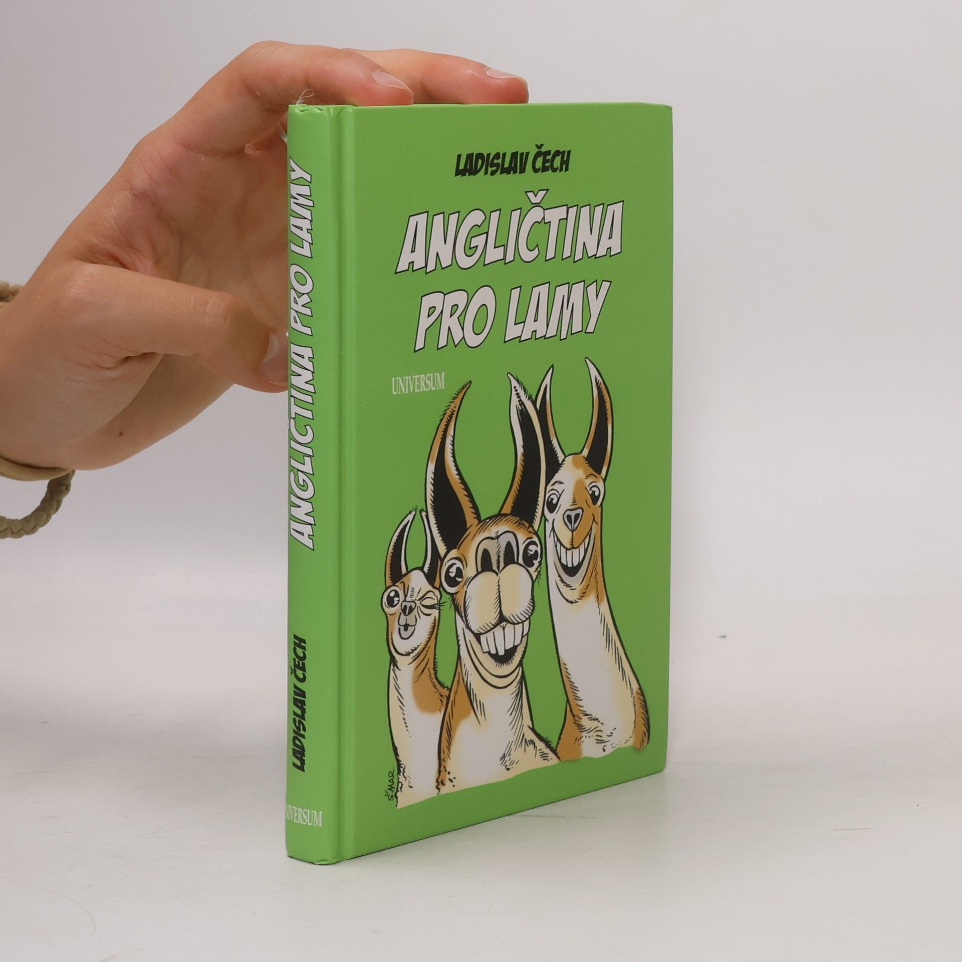 Ladislav Čech Angličtina pro lamy