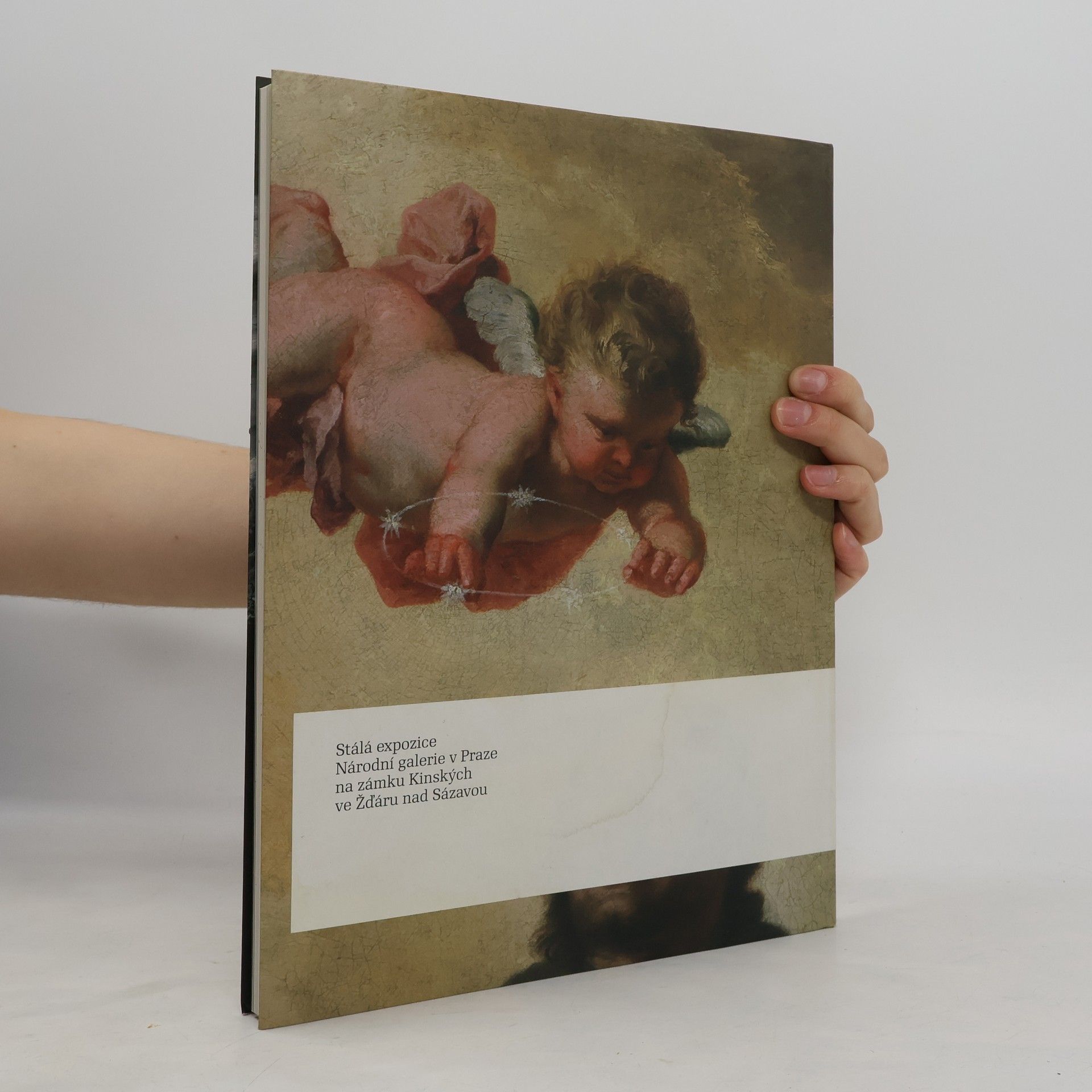 Collectif d'auteurs Barokní umění ze sbírek Národní galerie v Praze : výběrový katalog stálé expozice Národní galerie v Praze na zámku Kinských ve Žďáru nad Sázavou