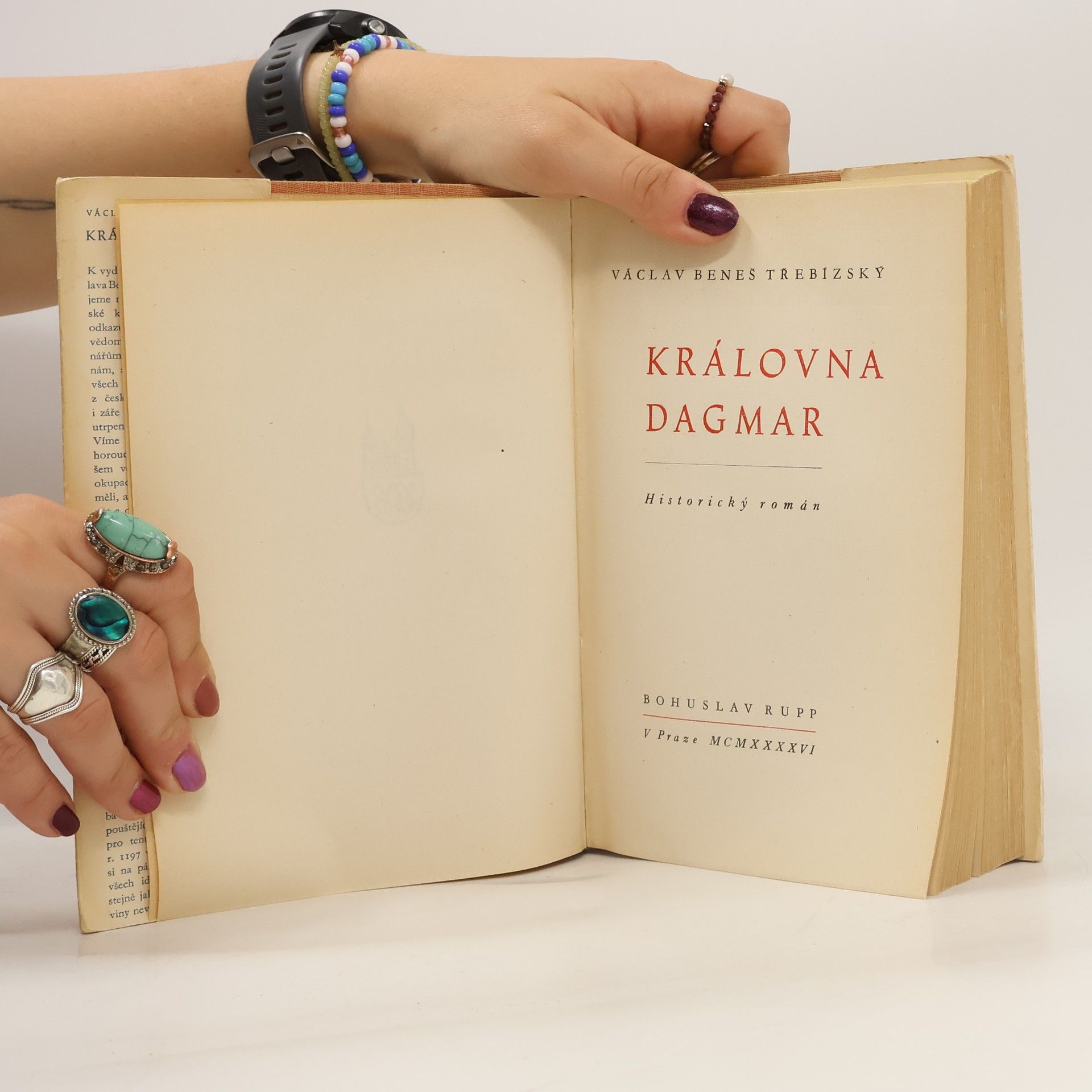 Václav Beneš Třebízský Královna Dagmar