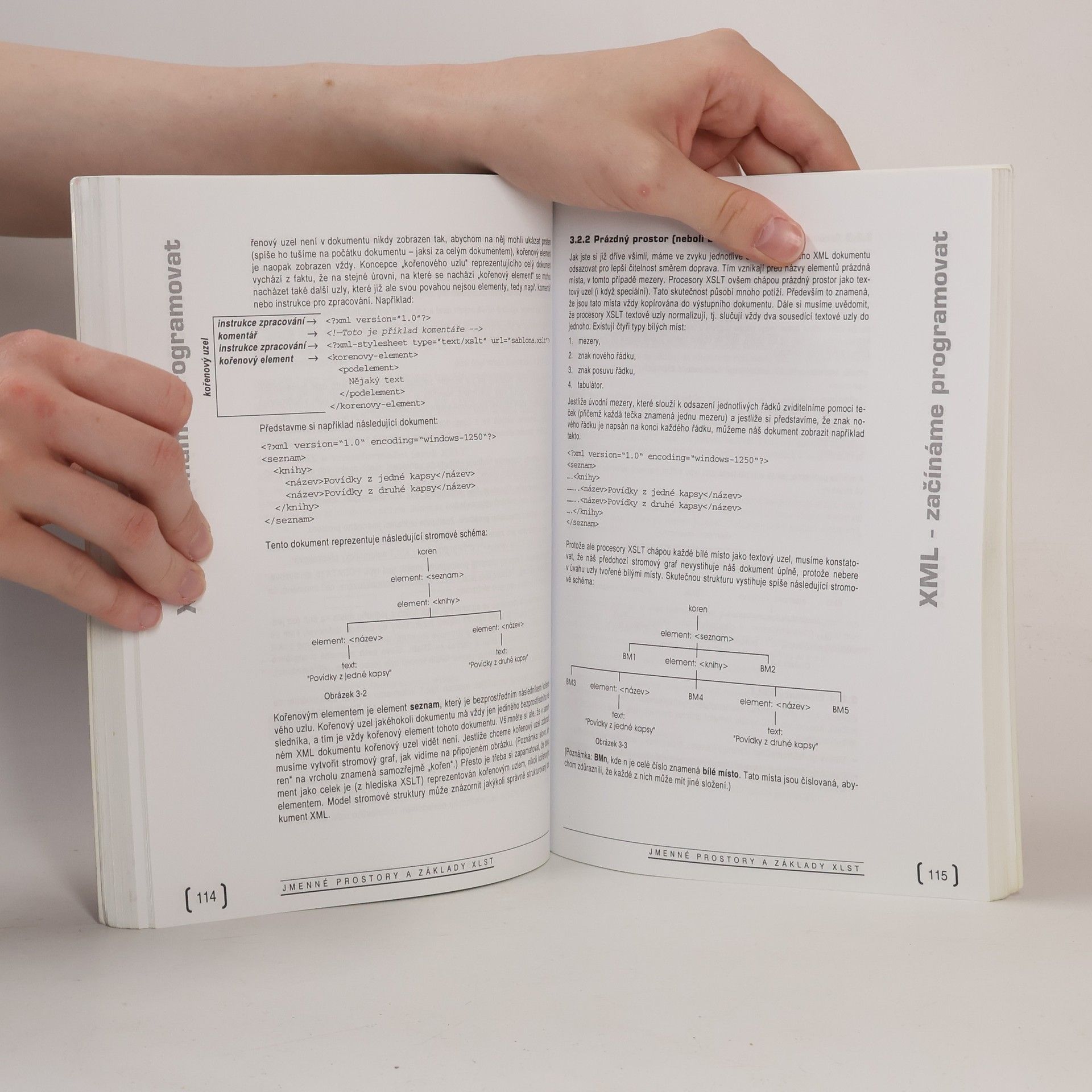 Miroslav Žák XML - začínáme programovat