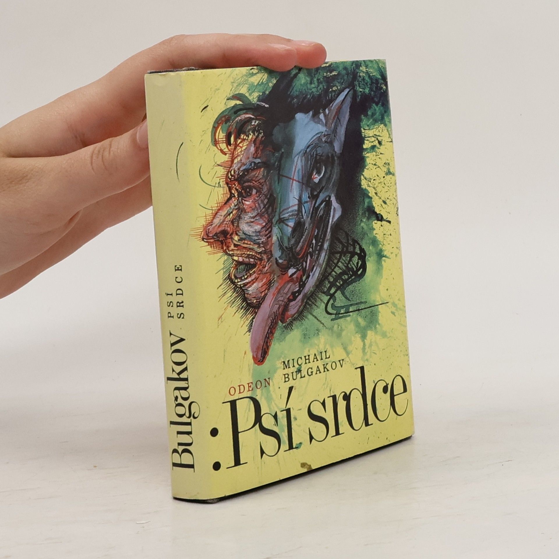 Michael Rittstein Psí srdce