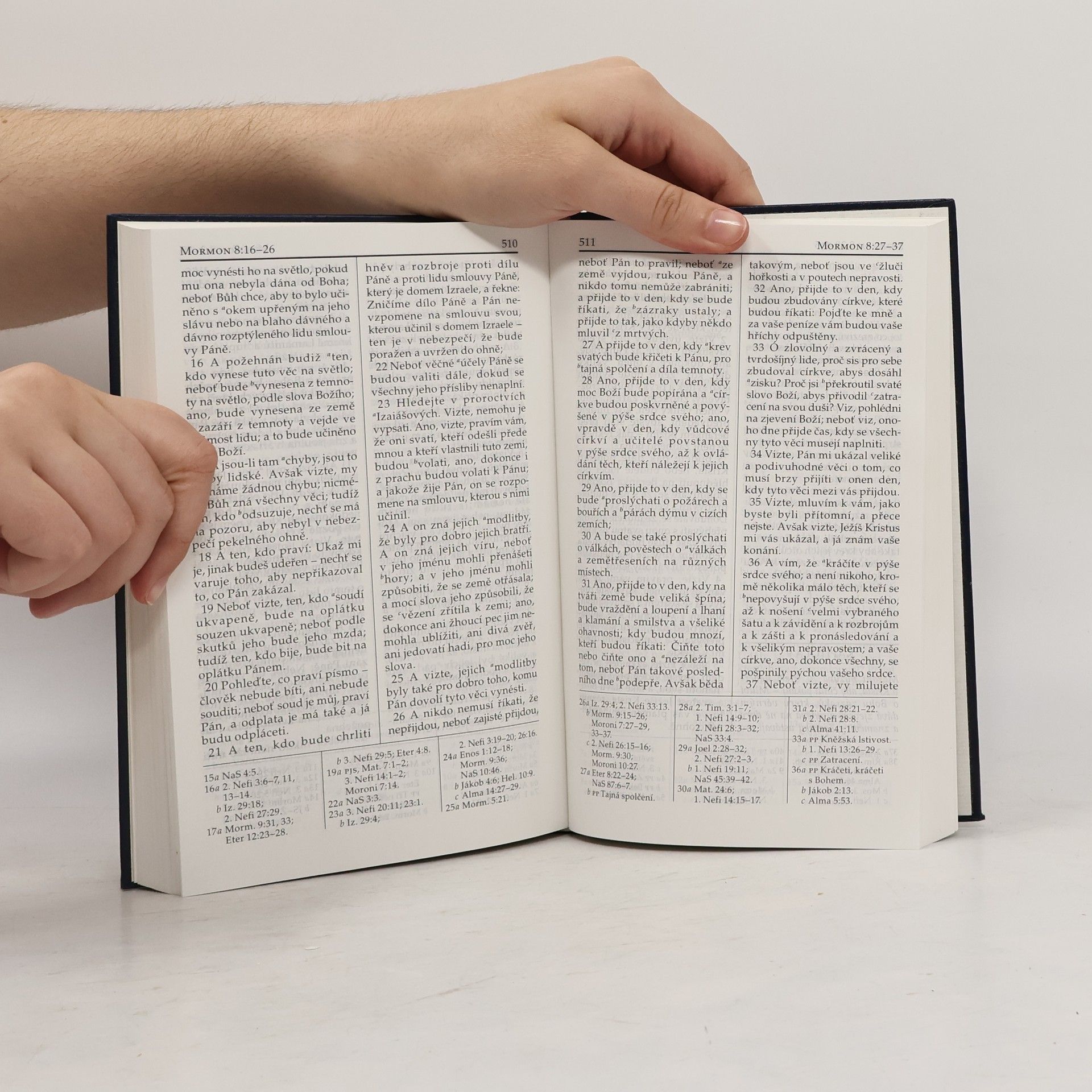 Autorenkollektiv Kniha Mormonova. Další svědectví o Ježíši Kristu