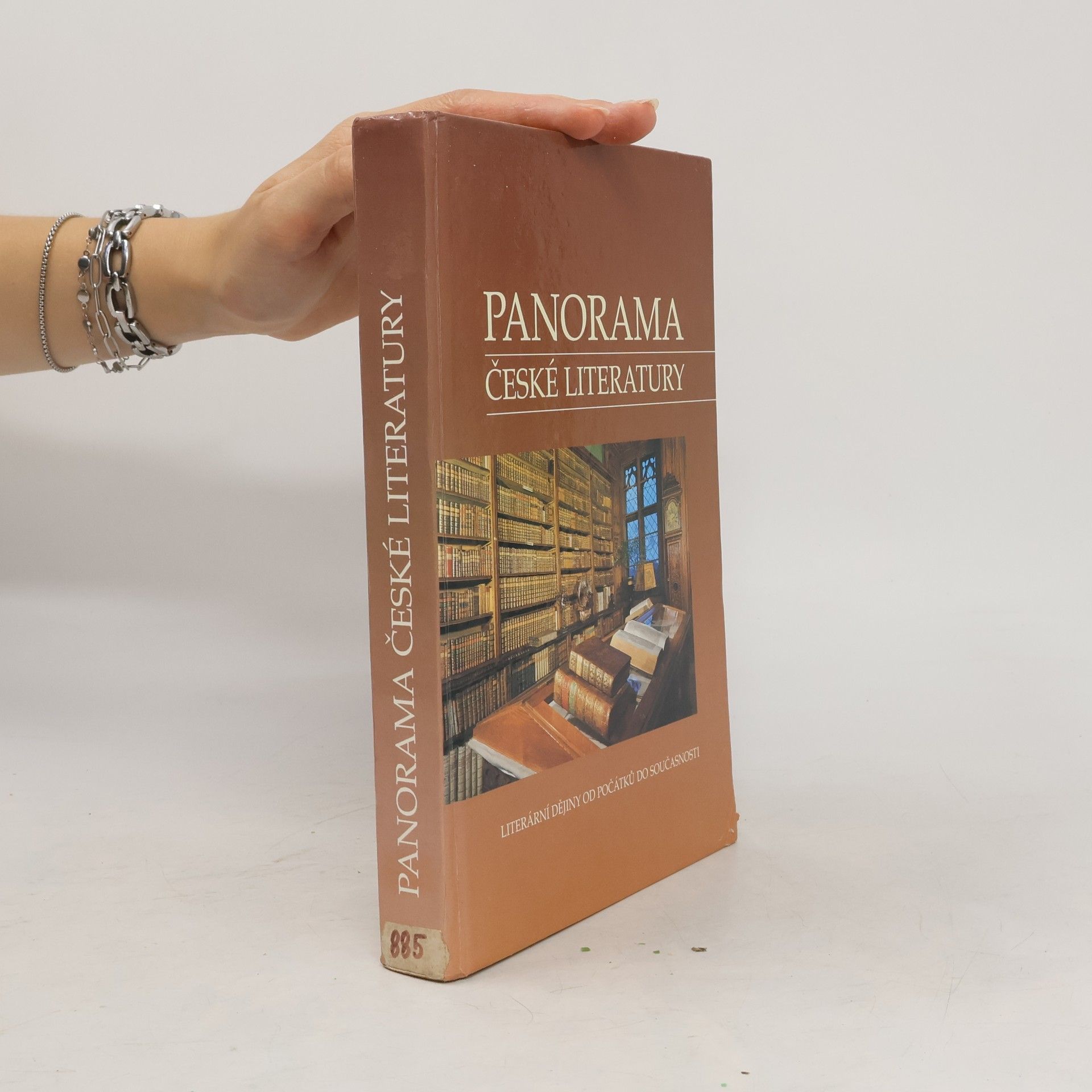 Josef Galík Panorama české literatury. Literární dějiny od počátků do současnosti