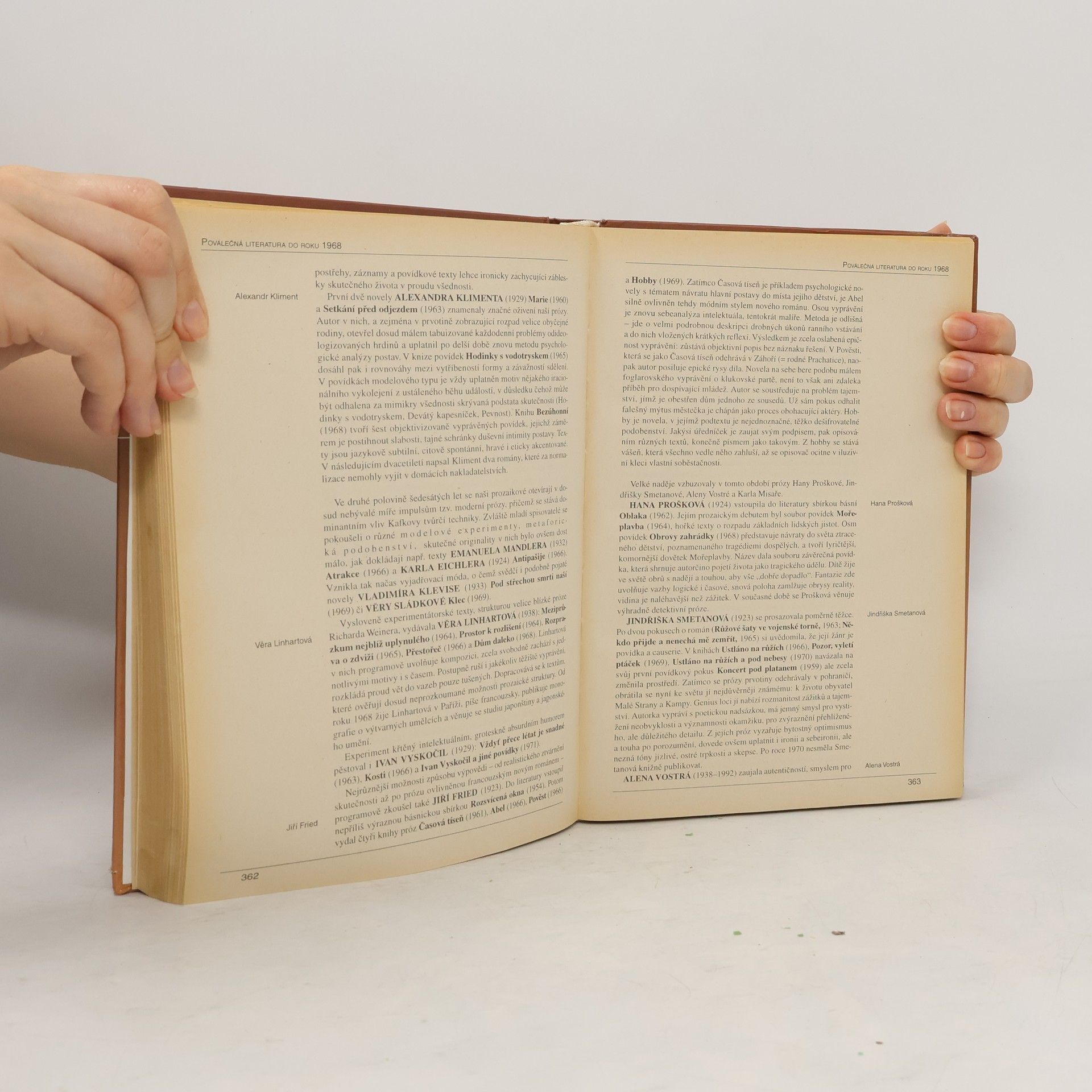 Kolektiv autorů Panorama české literatury. Literární dějiny od počátků do současnosti