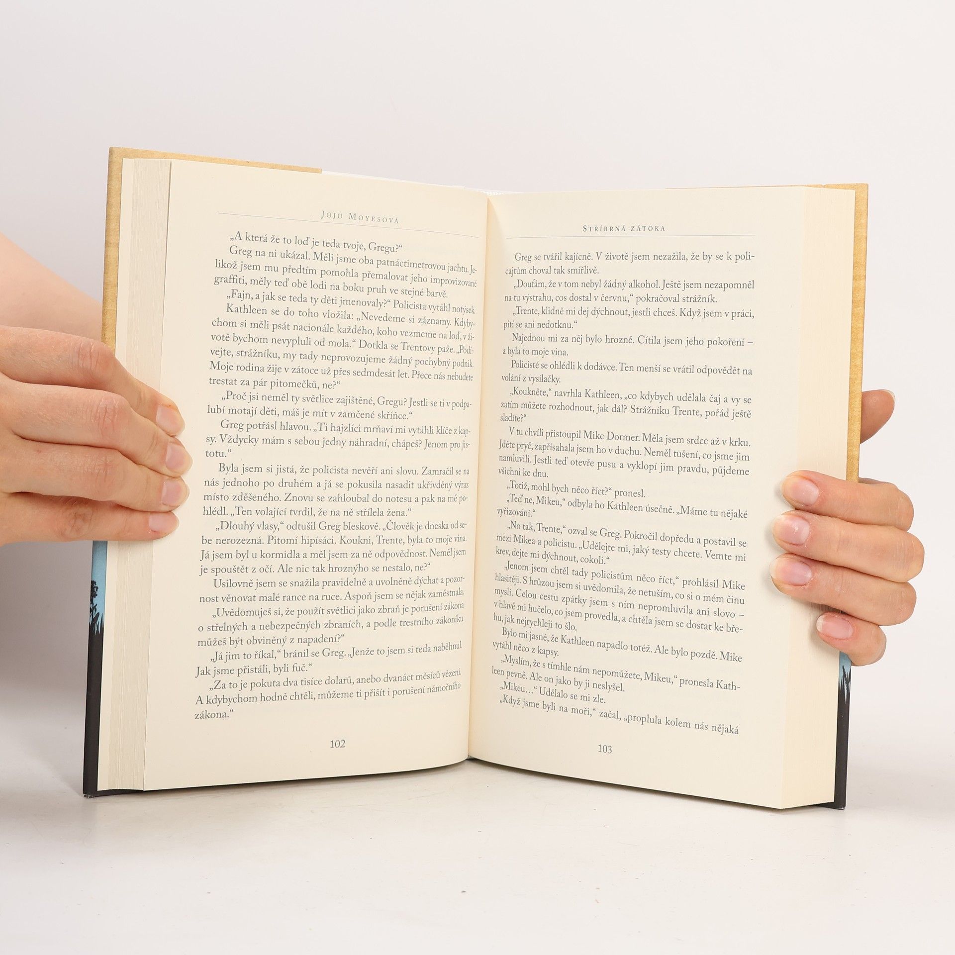 Jojo Moyes Stříbrná zátoka