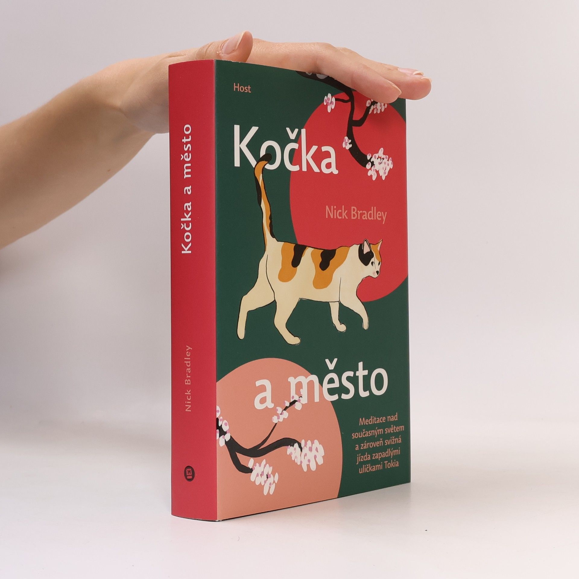Nick Bradley Kočka a město
