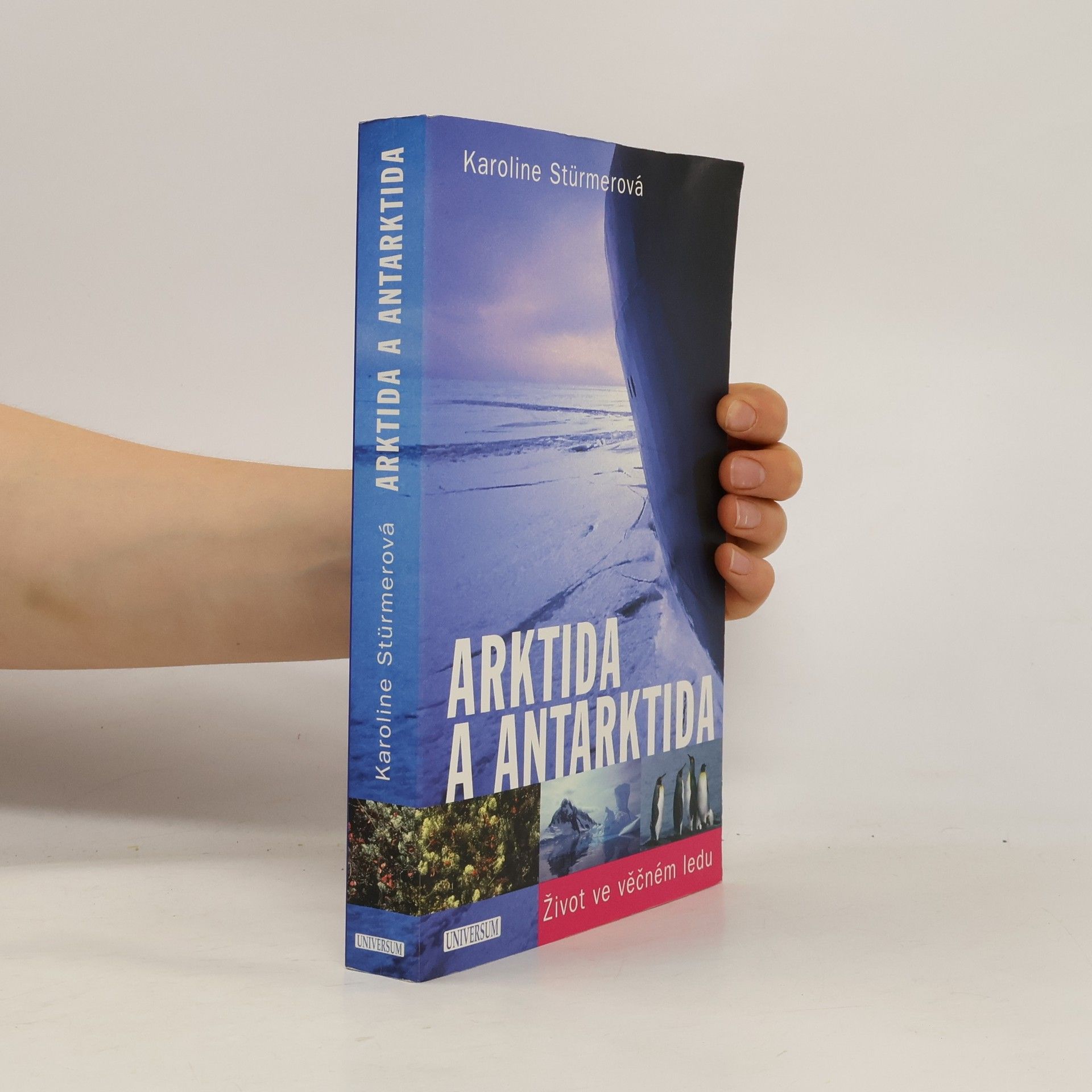 Karoline Stürmer Arktida a Antarktida. Život ve věčném ledu