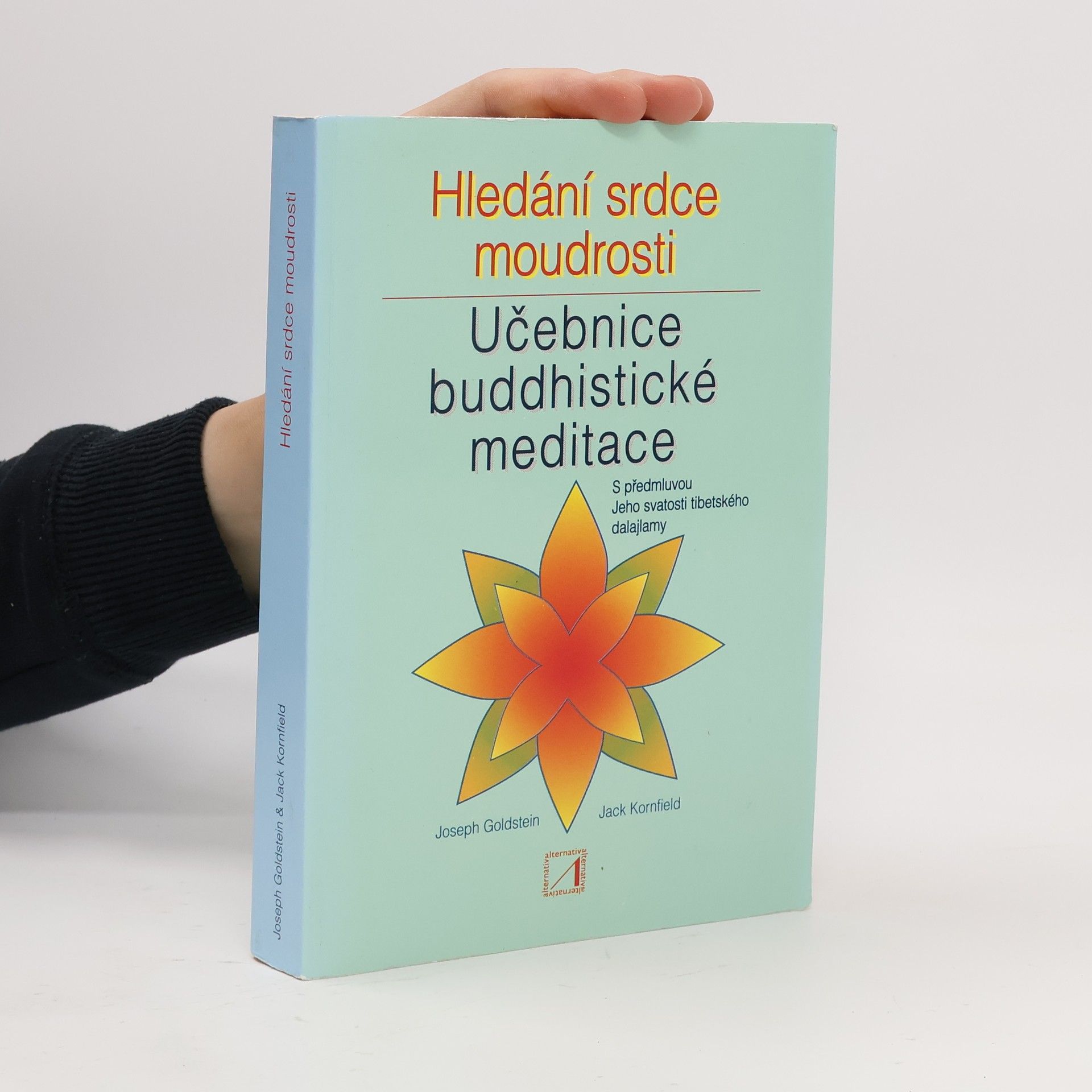 Joseph Goldstein Hledání srdce moudrosti