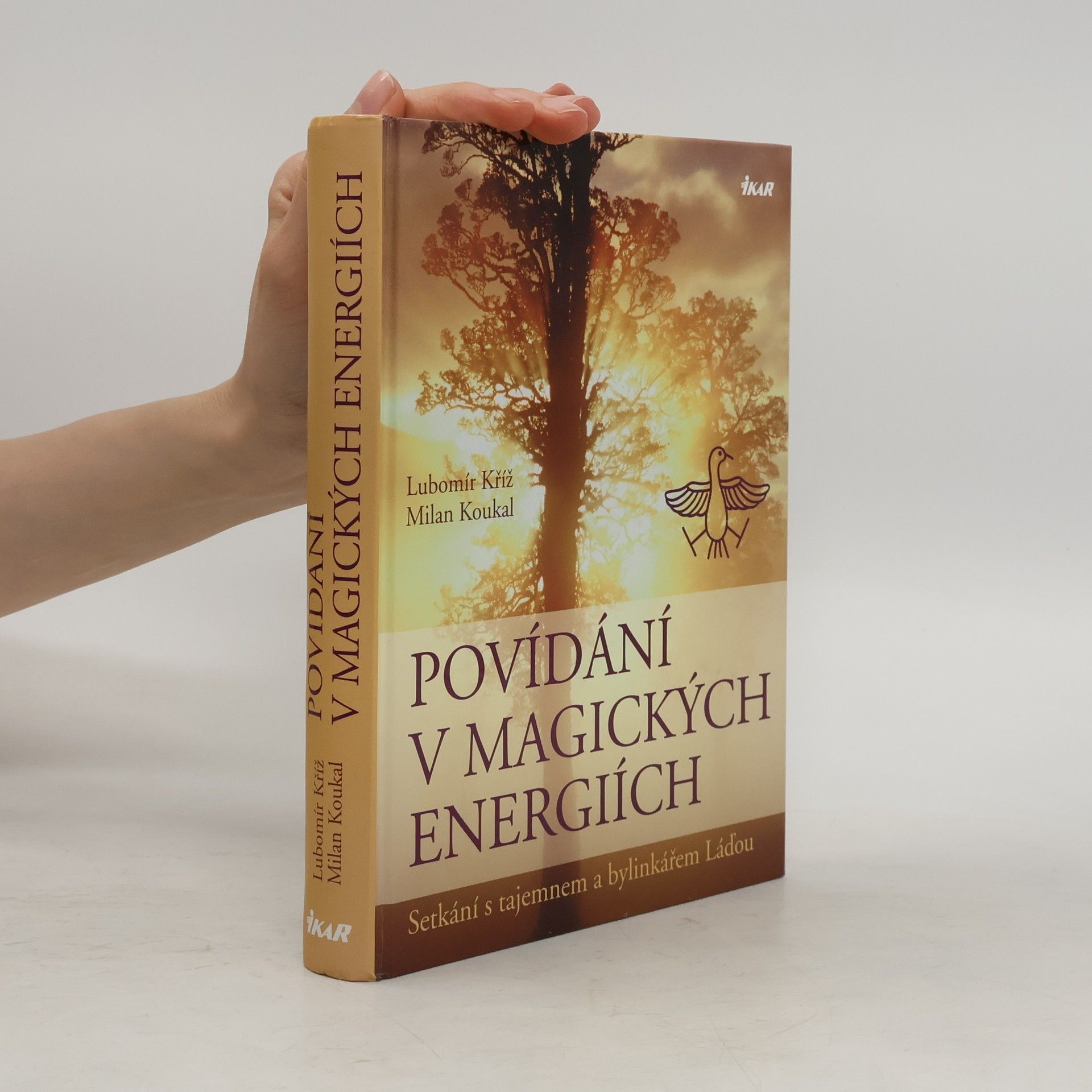 Lubomír Kříž Povídání v magických energiích