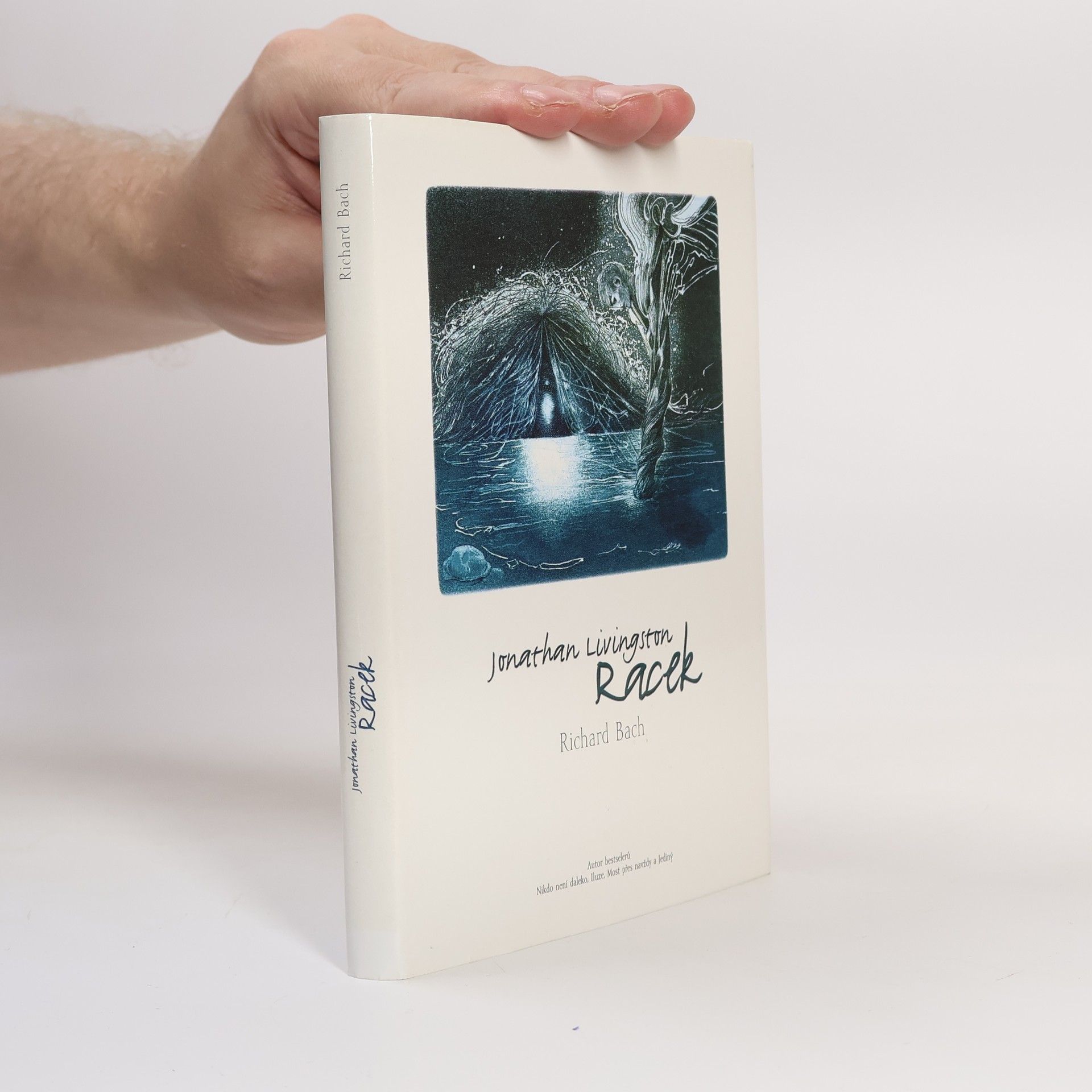 Richard David Bach Jonathan Livingston: Racek