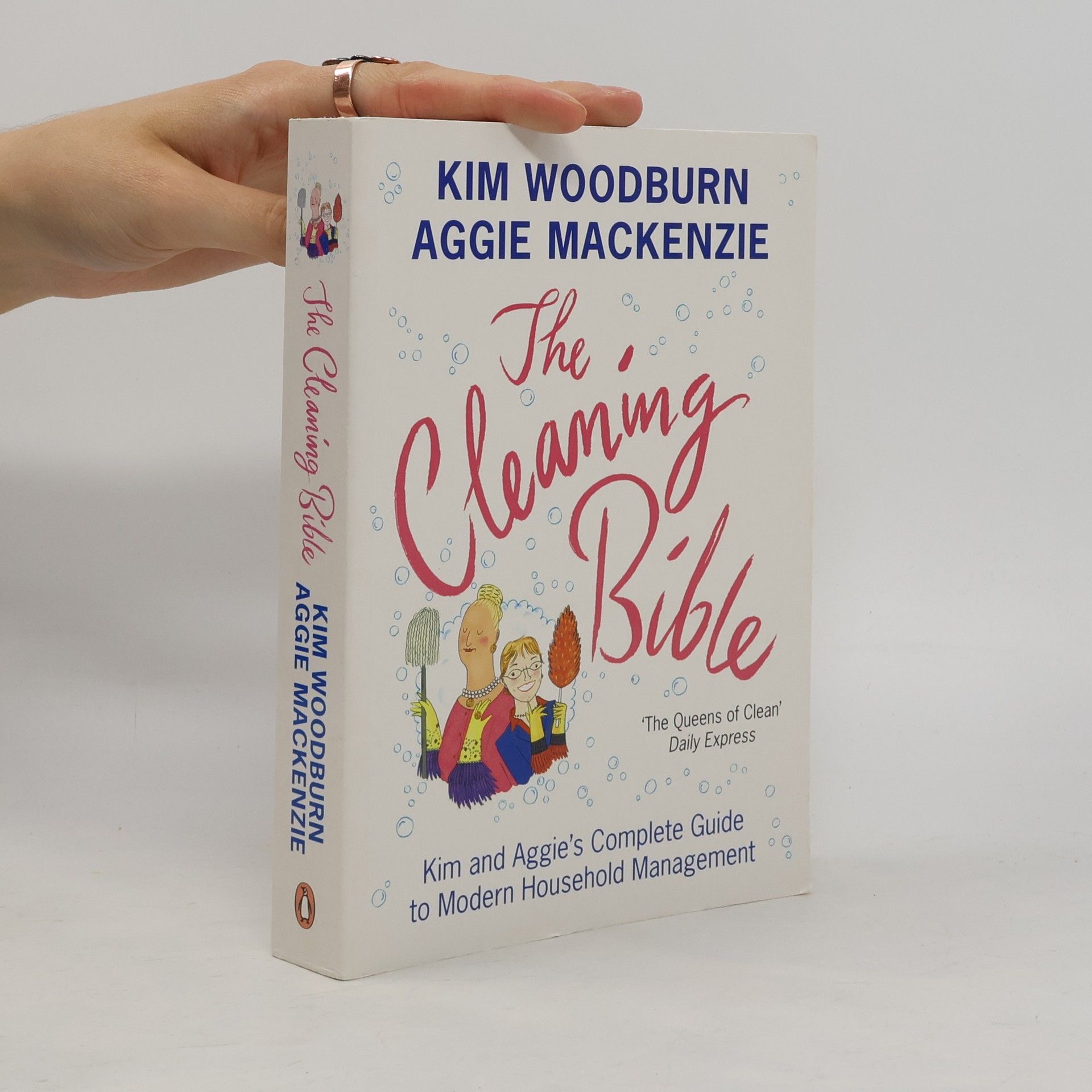 The Cleaning Bible