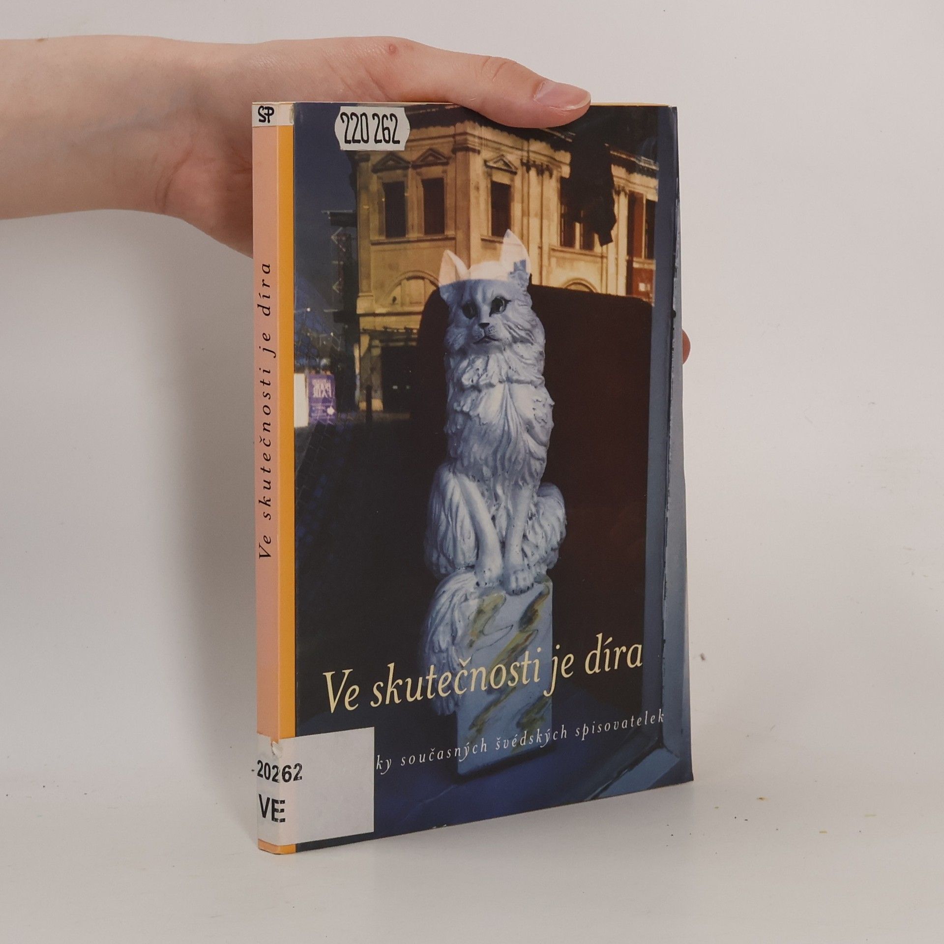 Anna-Karin Palm Ve skutečnosti je díra