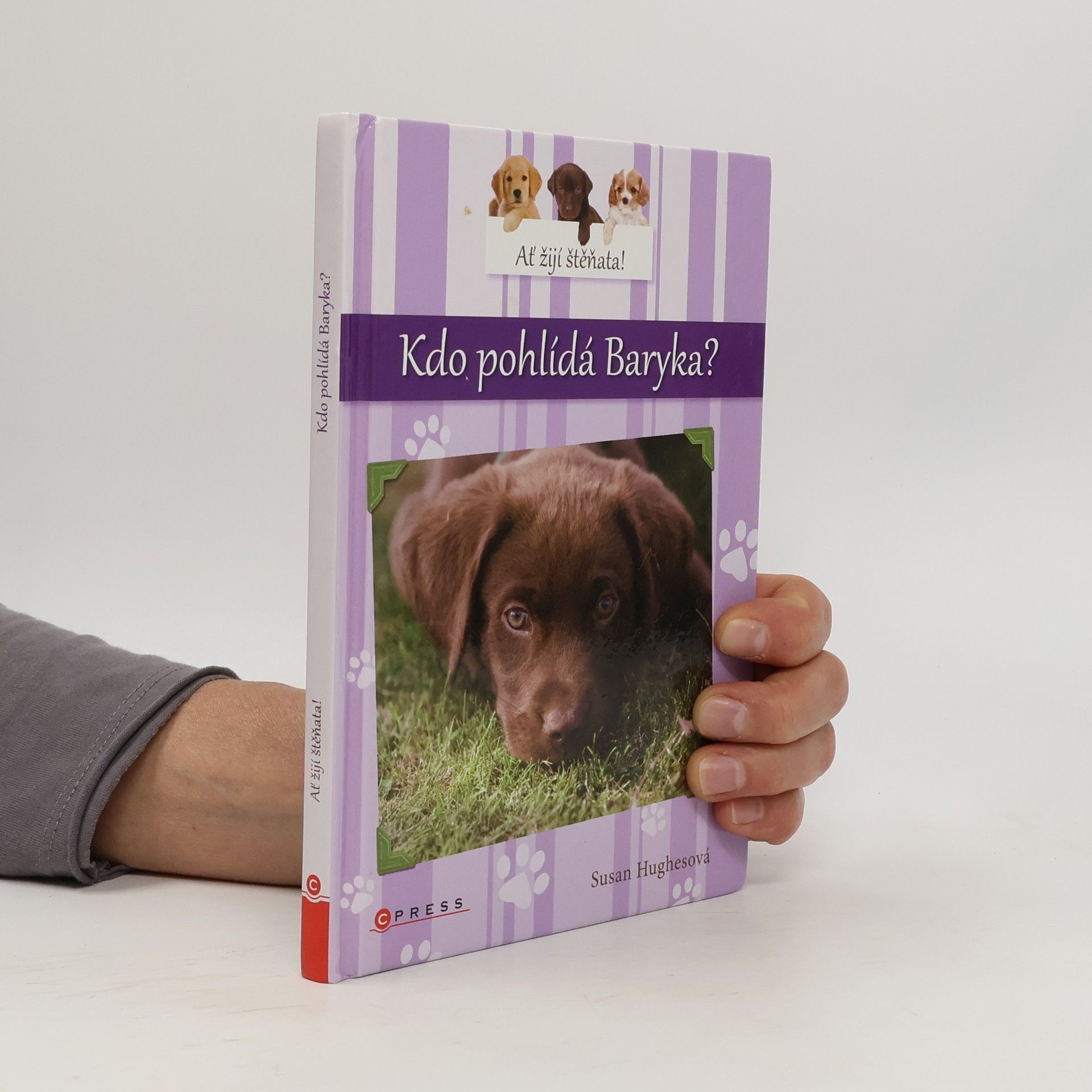 Susan Hughes Kdo pohlídá Baryka?