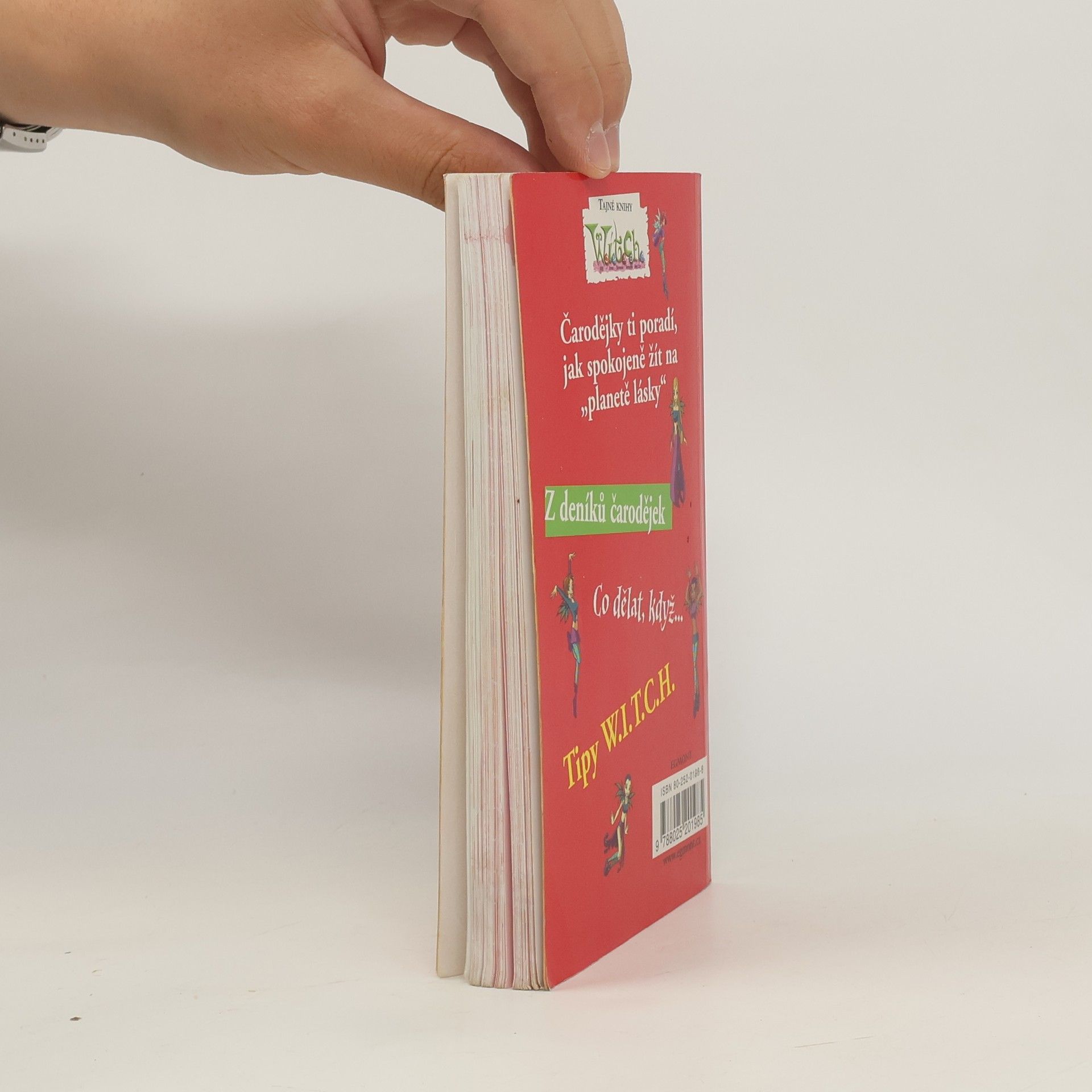 Autorenkollektiv 100 čarodějných způsobů, jak si poradit s láskou