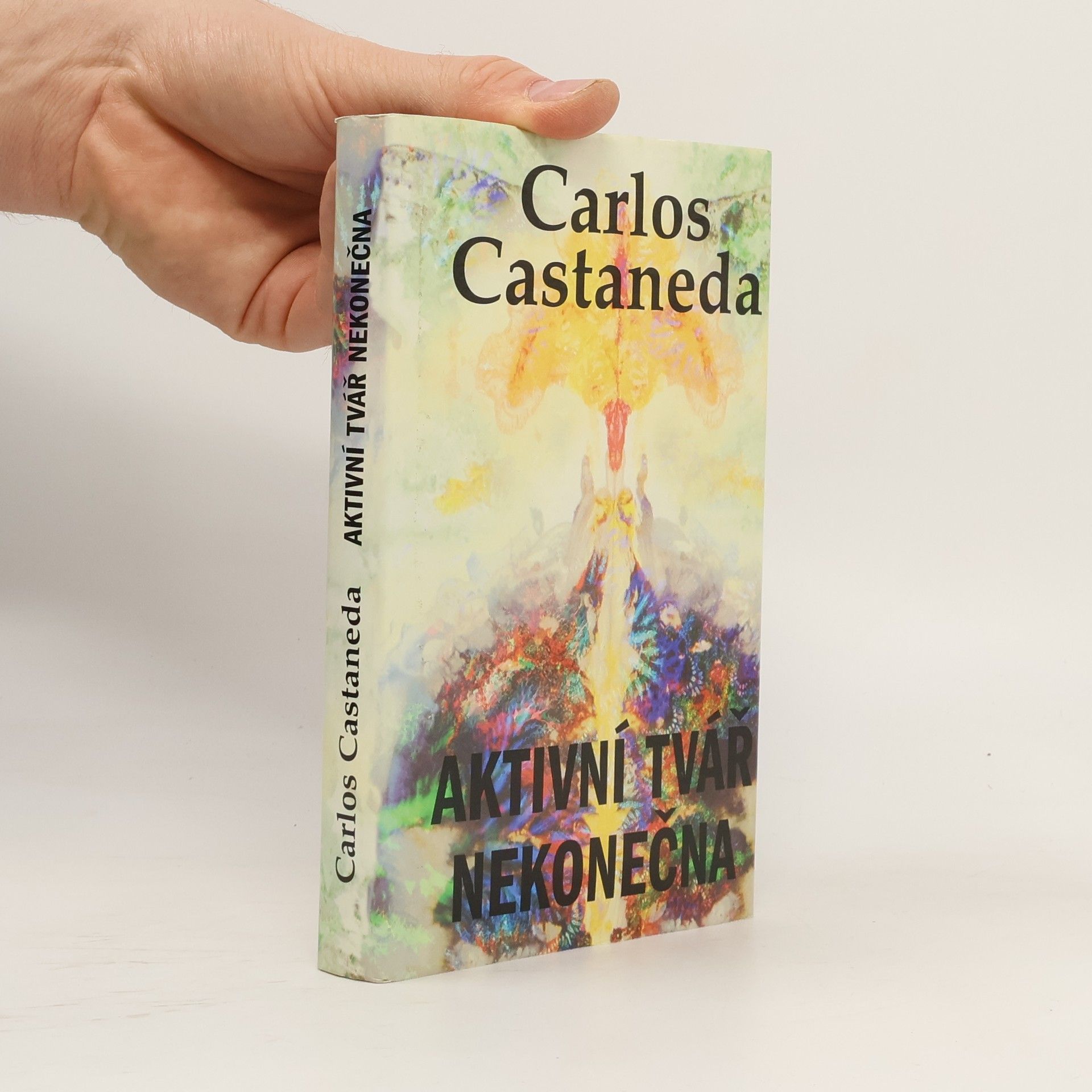 Carlos Castaneda Aktivní tvář nekonečna. Castaneda. 12. díl