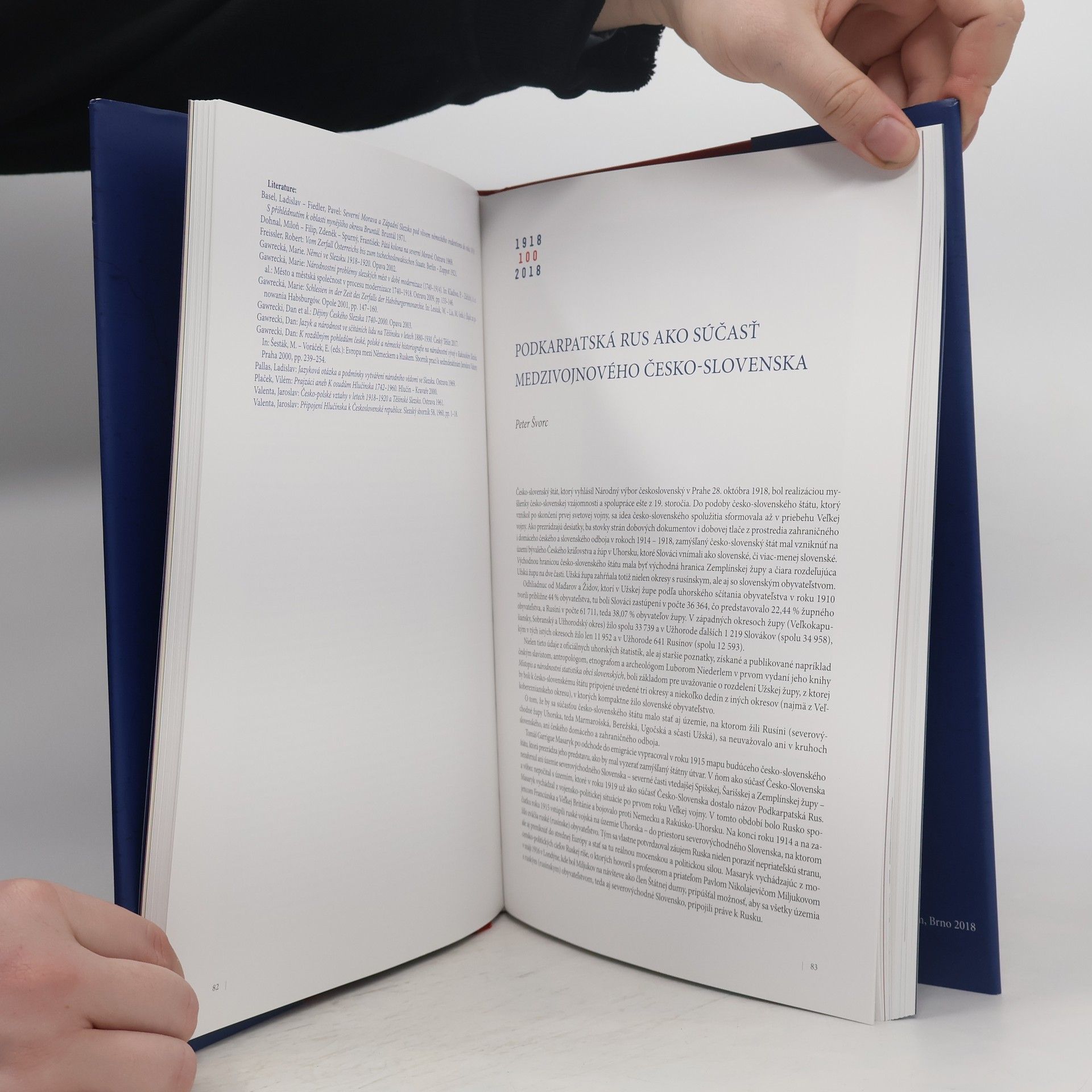 Autorenkollektiv Společné století Česko - Slovensko 1918-2018