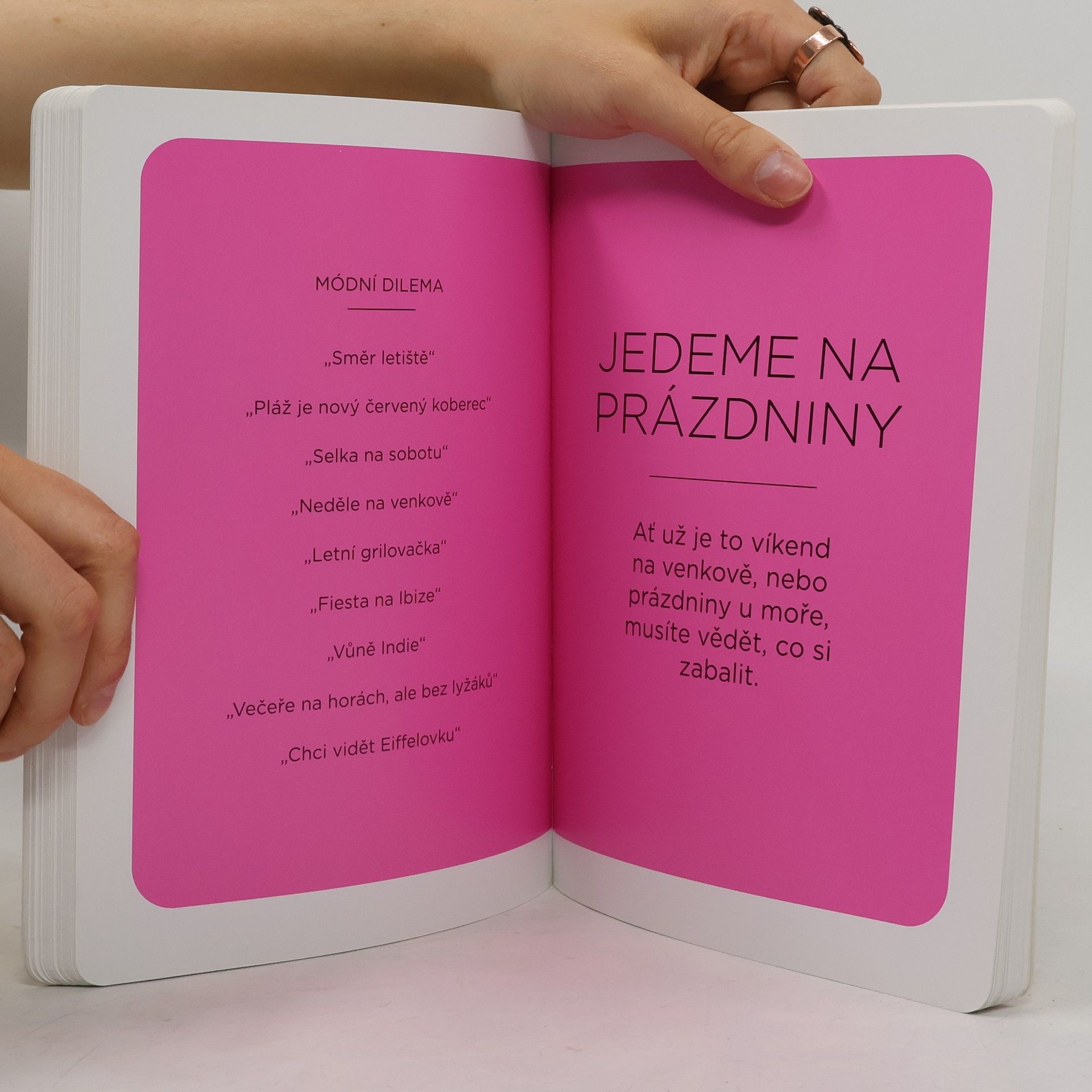 Ine s. de La Fressange Co si dnes vezmu na sebe?