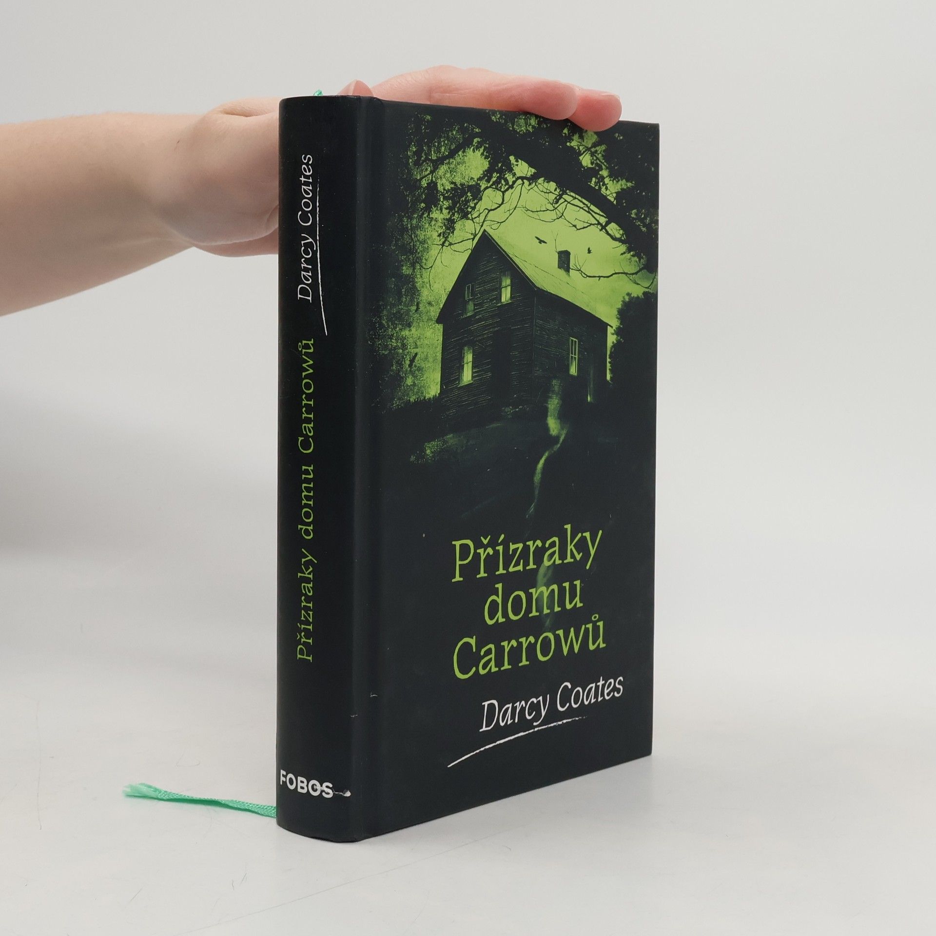 Darcy Coates Přízraky domu Carrowů