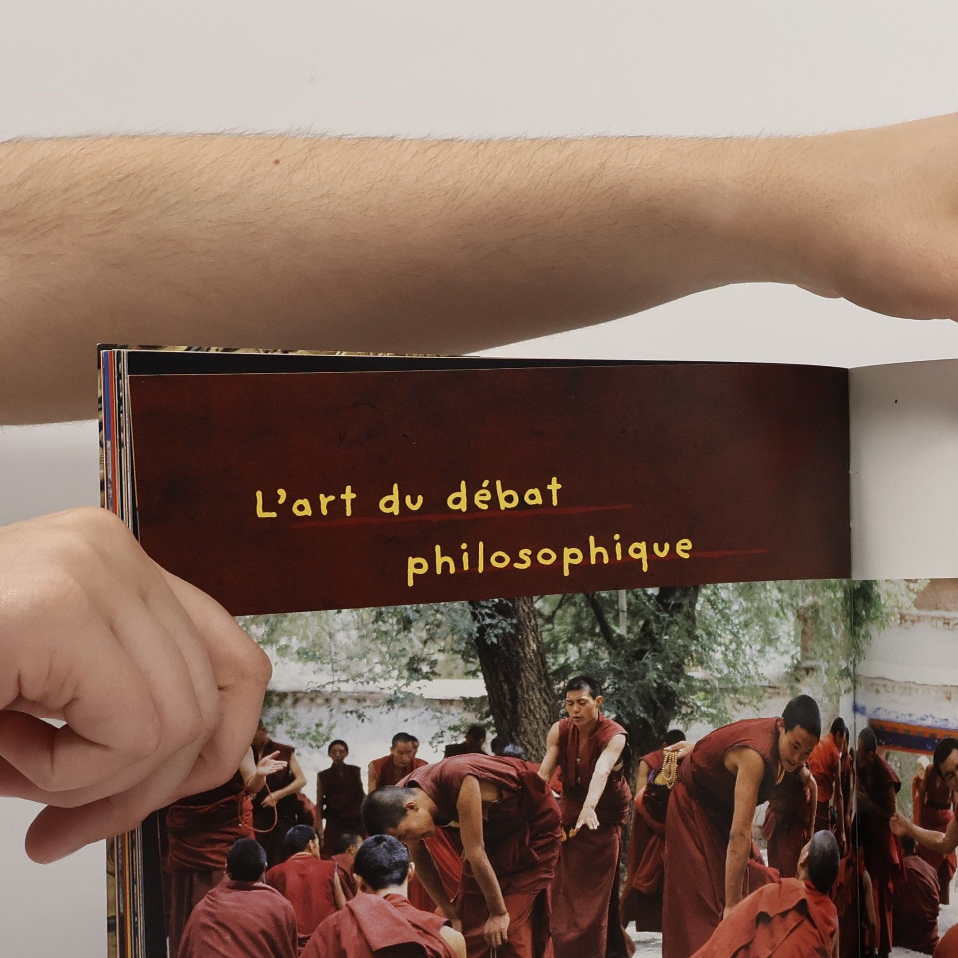Ruth Van der Molen Le Tibet