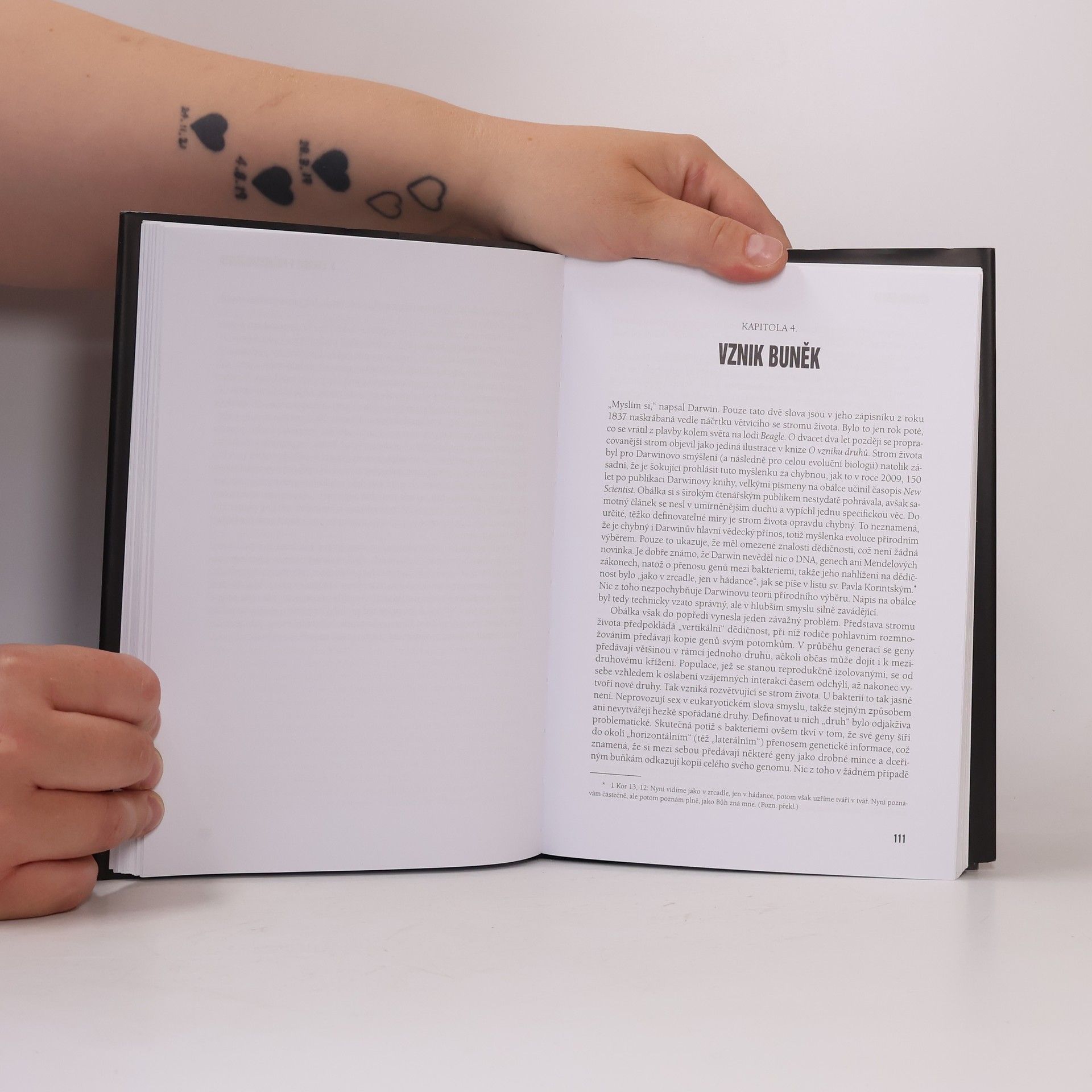 Nick Lane Záhada života: proč je takový, jaký je?