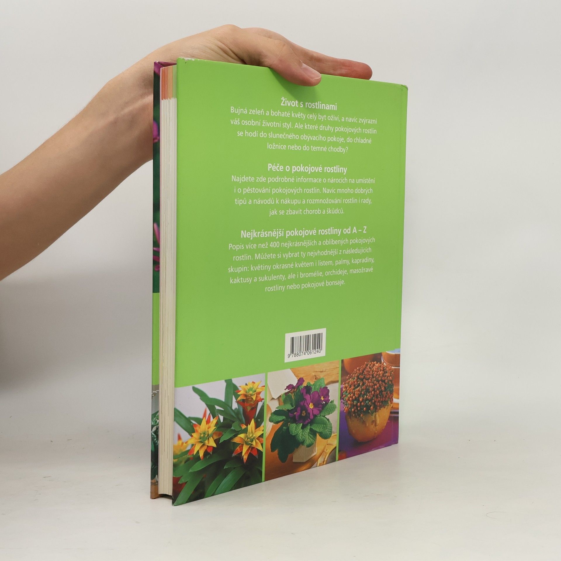 Folko Kullmann Velká kniha pokojových rostlin