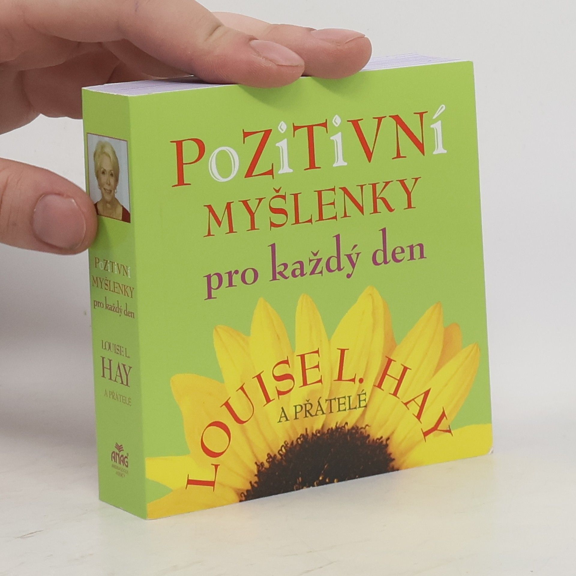 Louise Lynn Hay Pozitivní myšlenky pro každý den