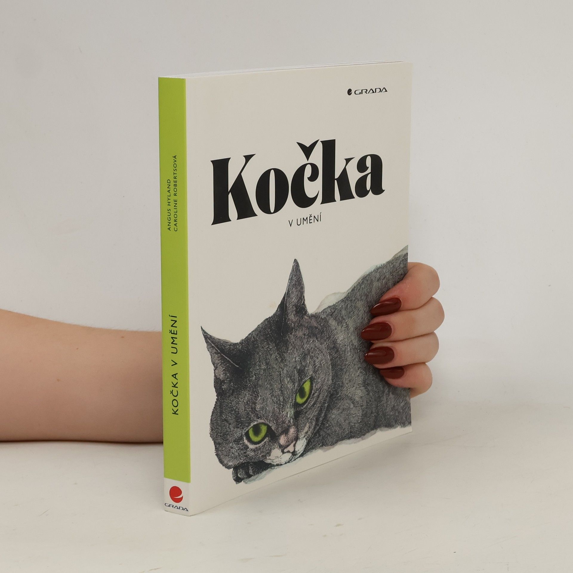 Angus Hyland Kočka v umění
