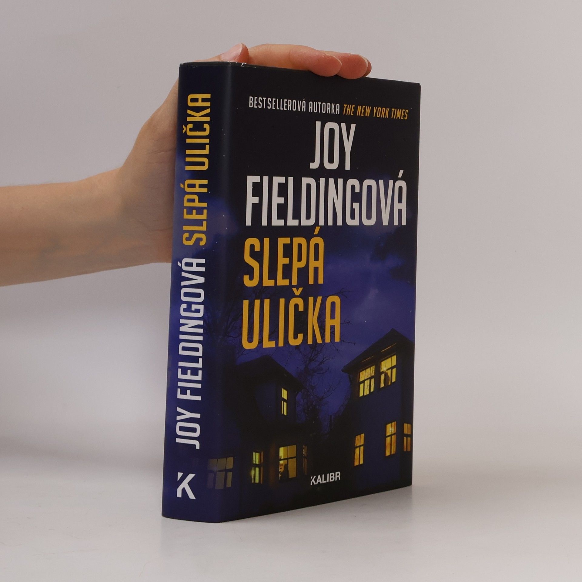 Joy Fielding Slepá ulička
