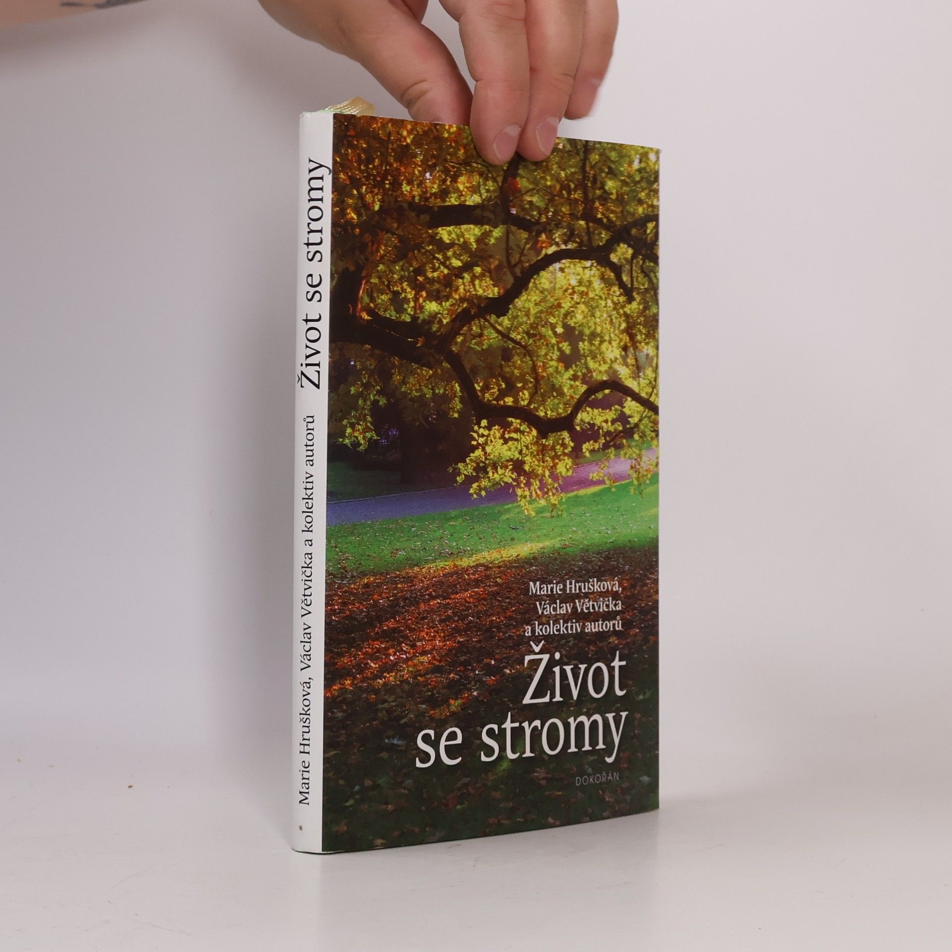 Václav Větvička Život se stromy