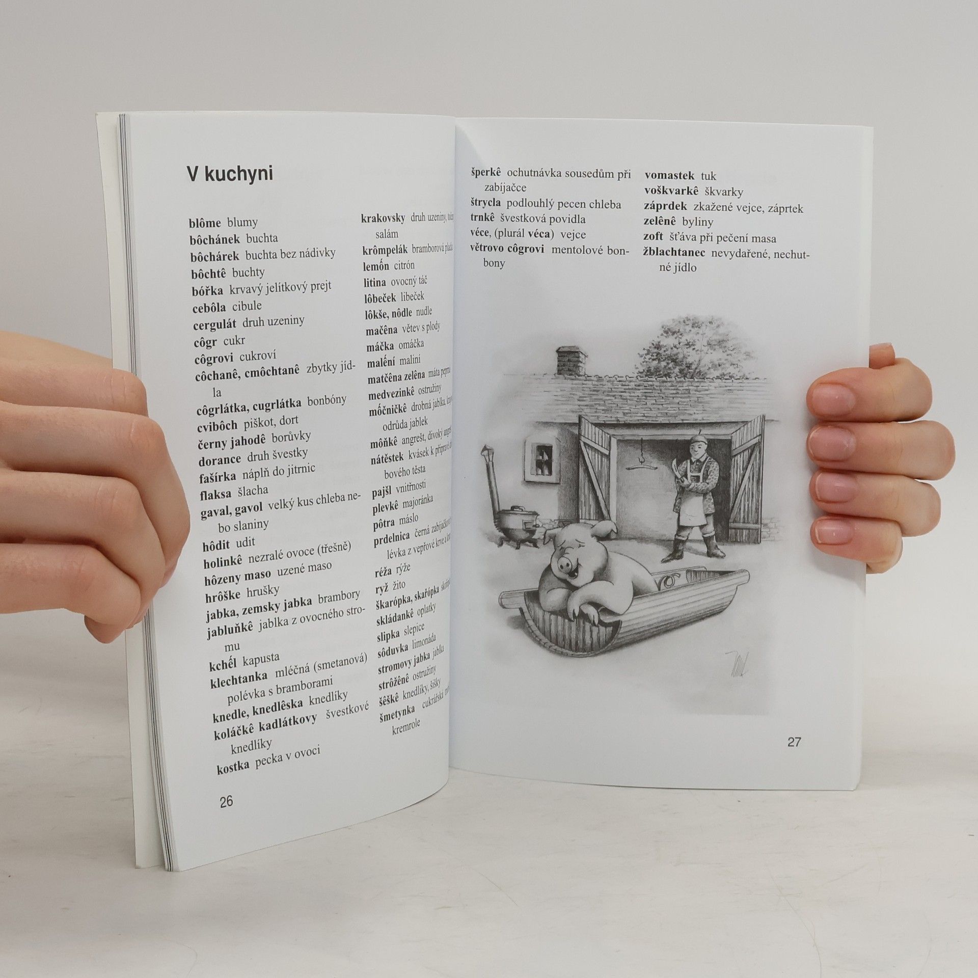 Collectif d'auteurs Malý slovníček horáčtiny