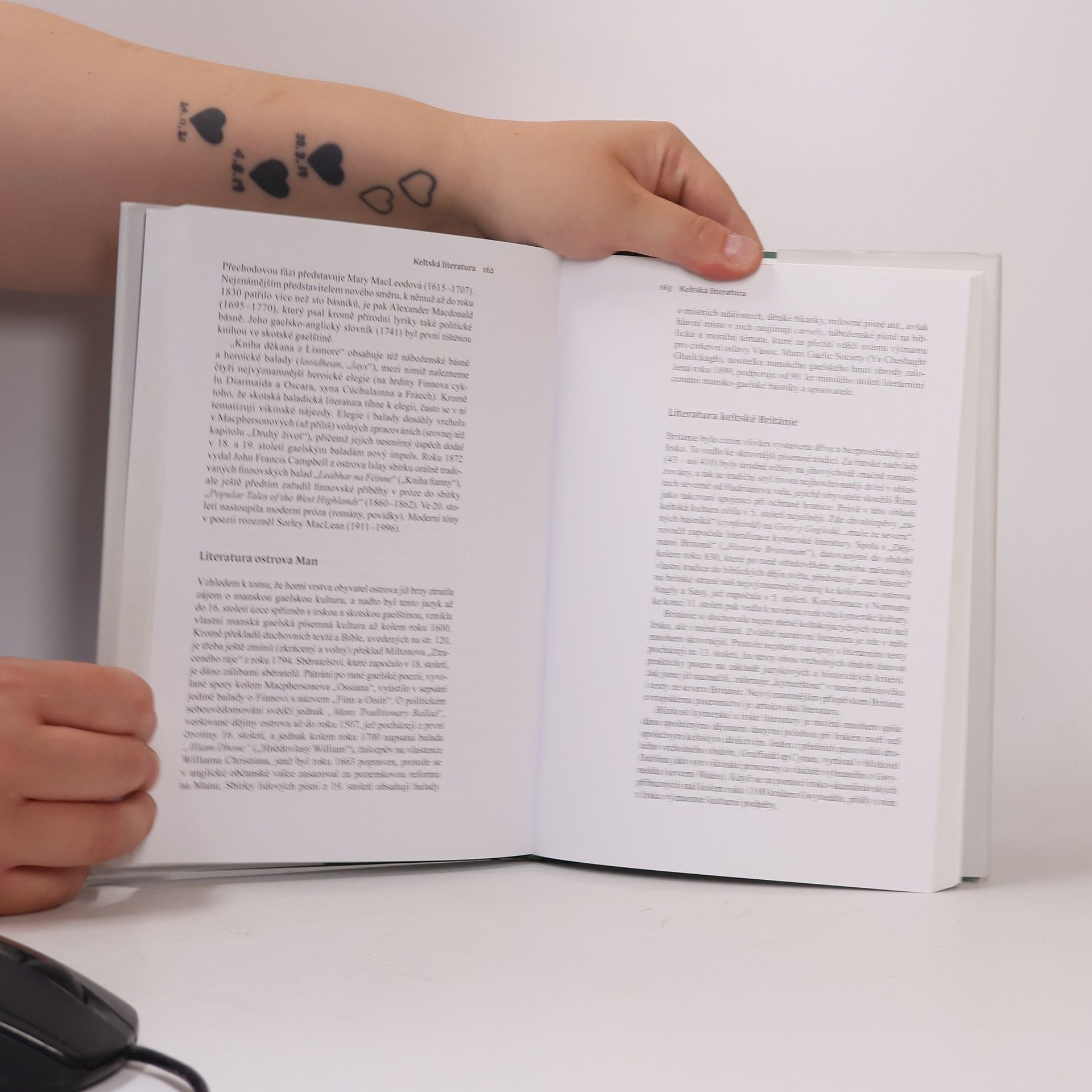 Stefan Zimmer Keltové: Mýtus a realita