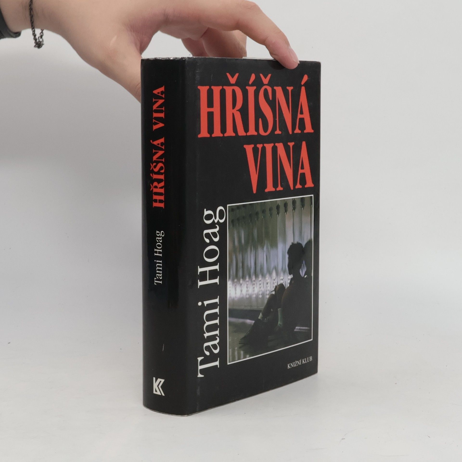 Tami Hoag Hříšná vina