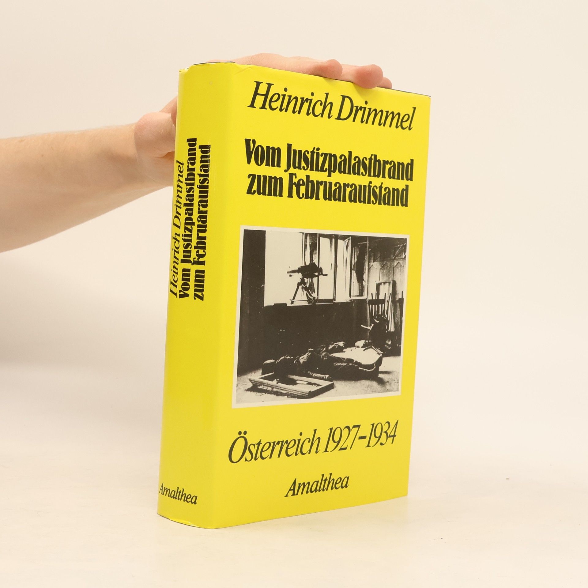 Heinrich Drimmel Vom Justizpalastbrand zum Februaraufstand