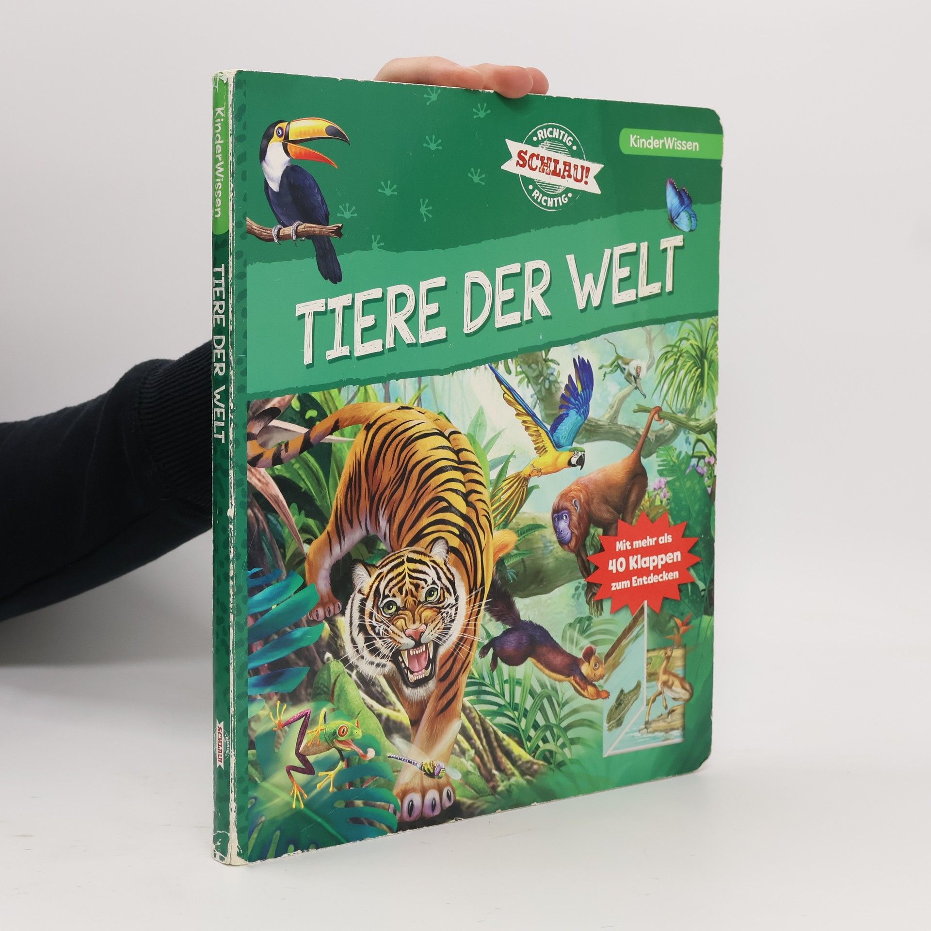 Sandra Noa Tiere der Welt