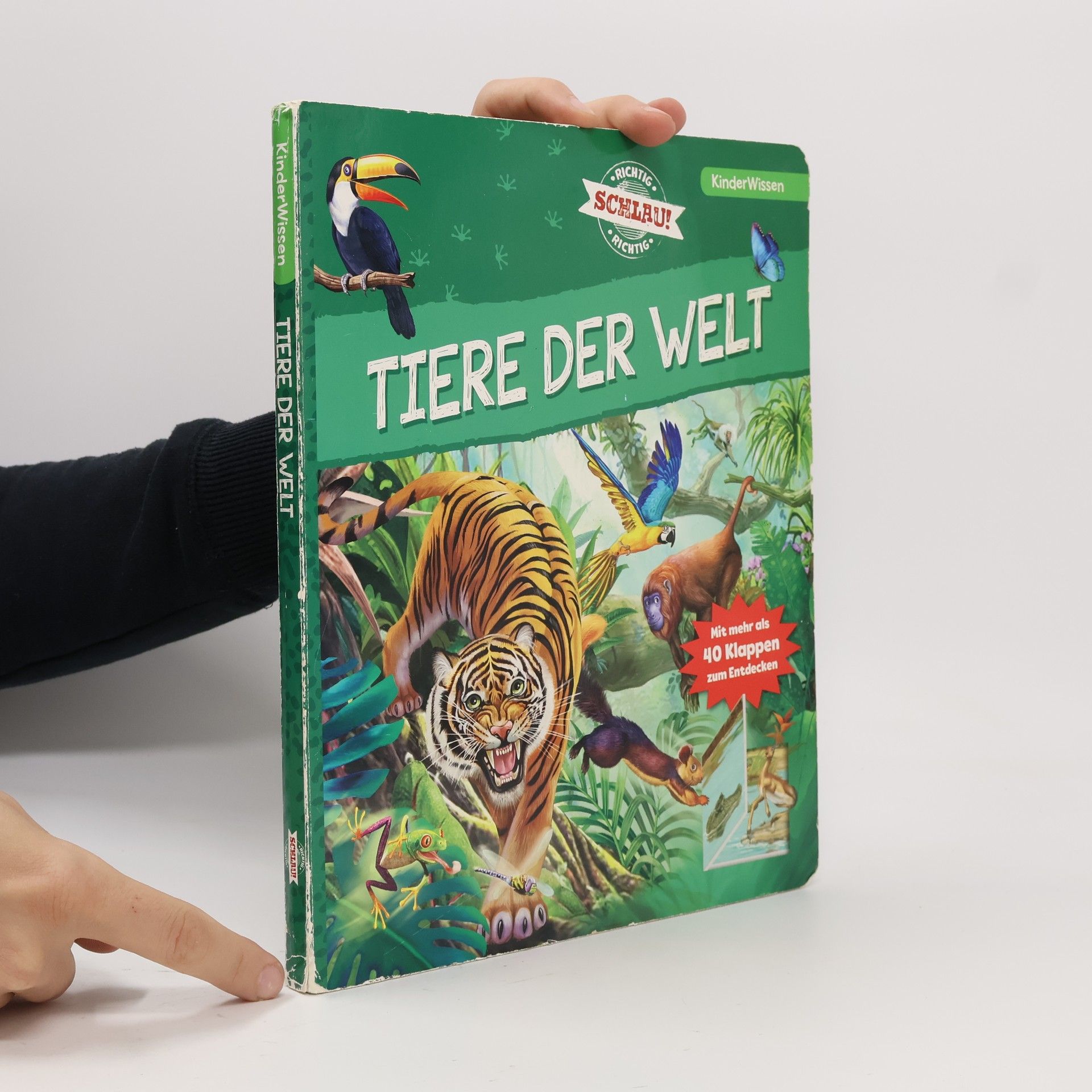 Sandra Noa Tiere der Welt