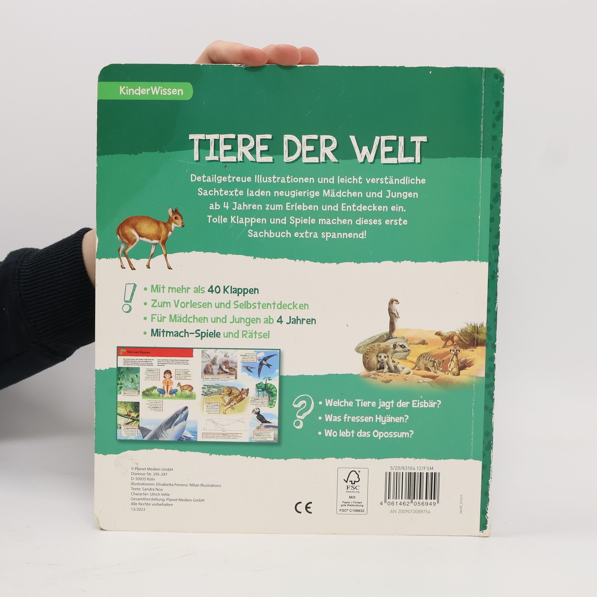 Sandra Noa Tiere der Welt