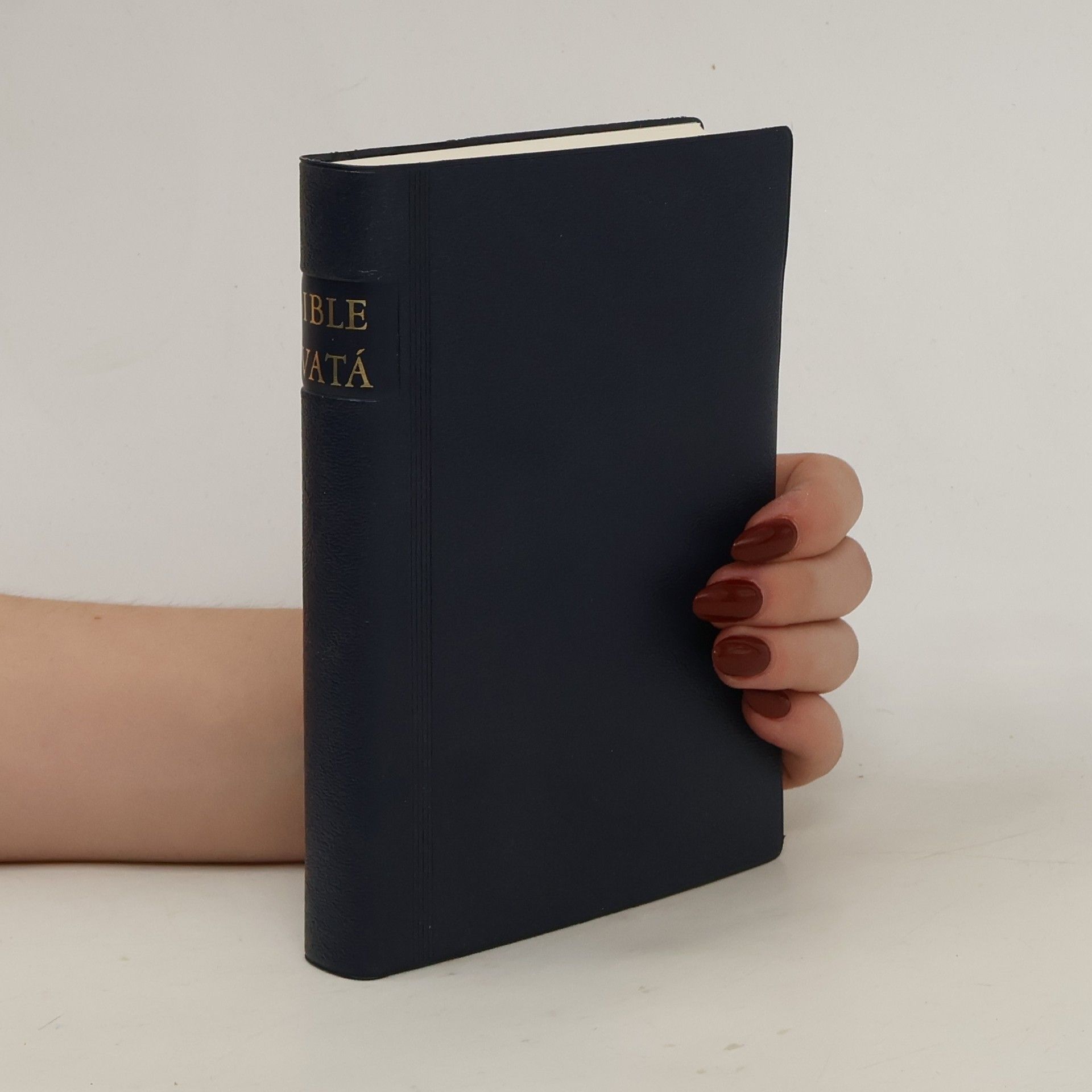Autorenkollektiv Bible svatá