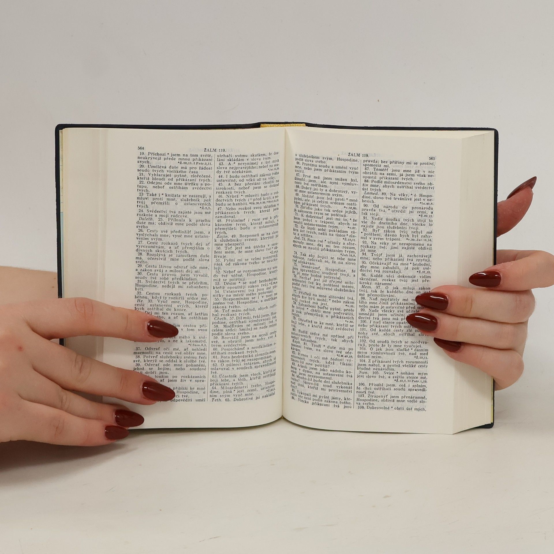 Collectif d'auteurs Bible svatá